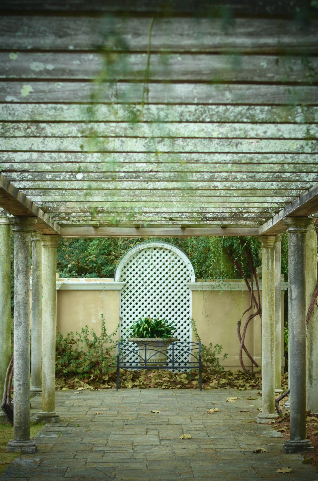 Birmingham Botanical Gardens | Nikon D3400