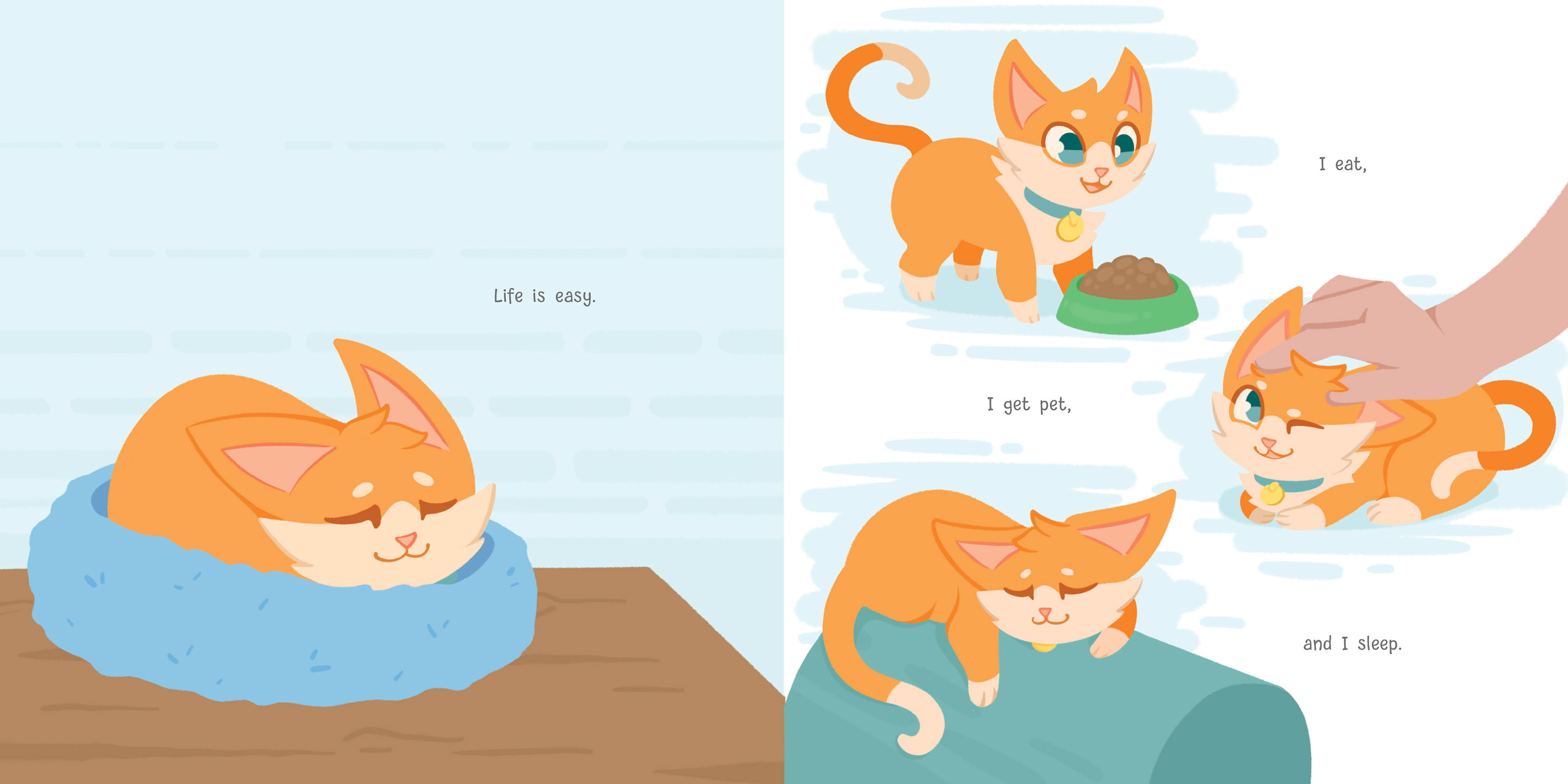 pages 5-6