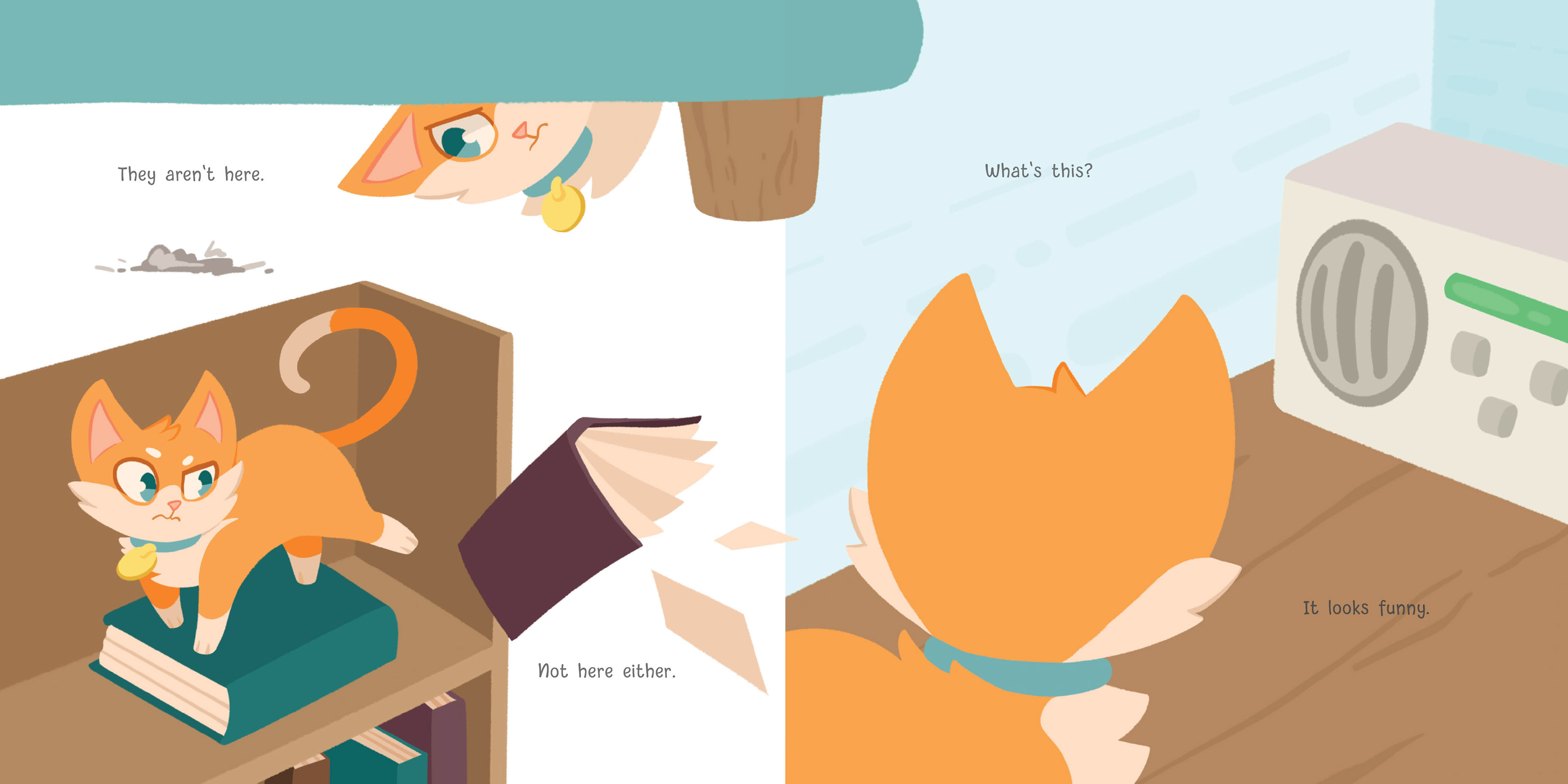 pages 19-20