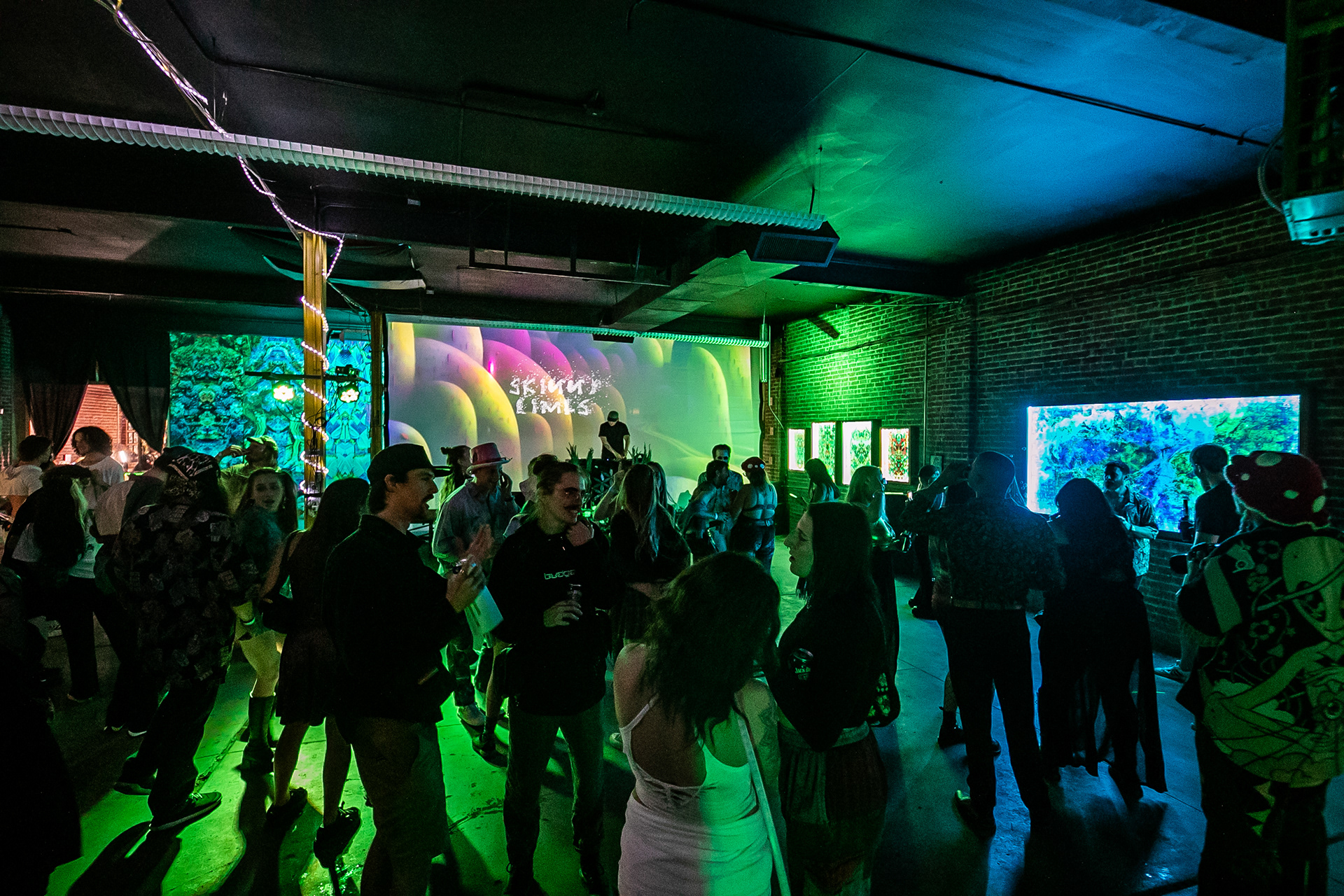 Skinny Limbs performed at Ant Life for Zefuss