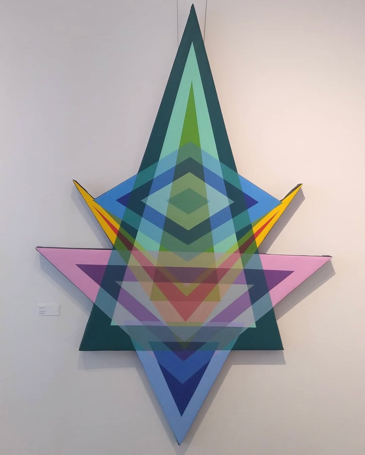 4 x 6 feet, Acrylic on stretched canvas