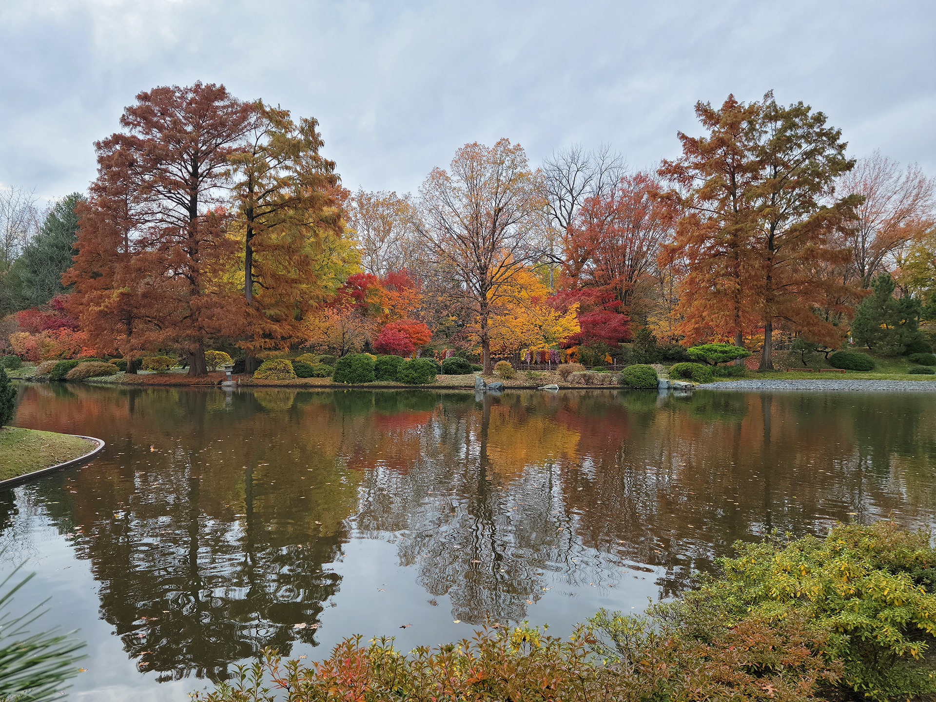 Missouri Botanical Garden (St. Louis, MO)