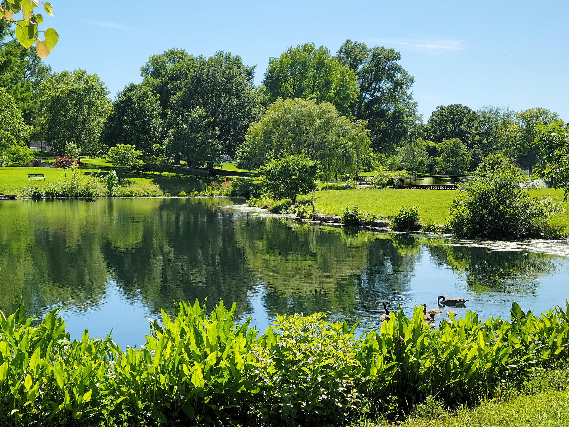 Des Peres Park (Des Peres, MO)