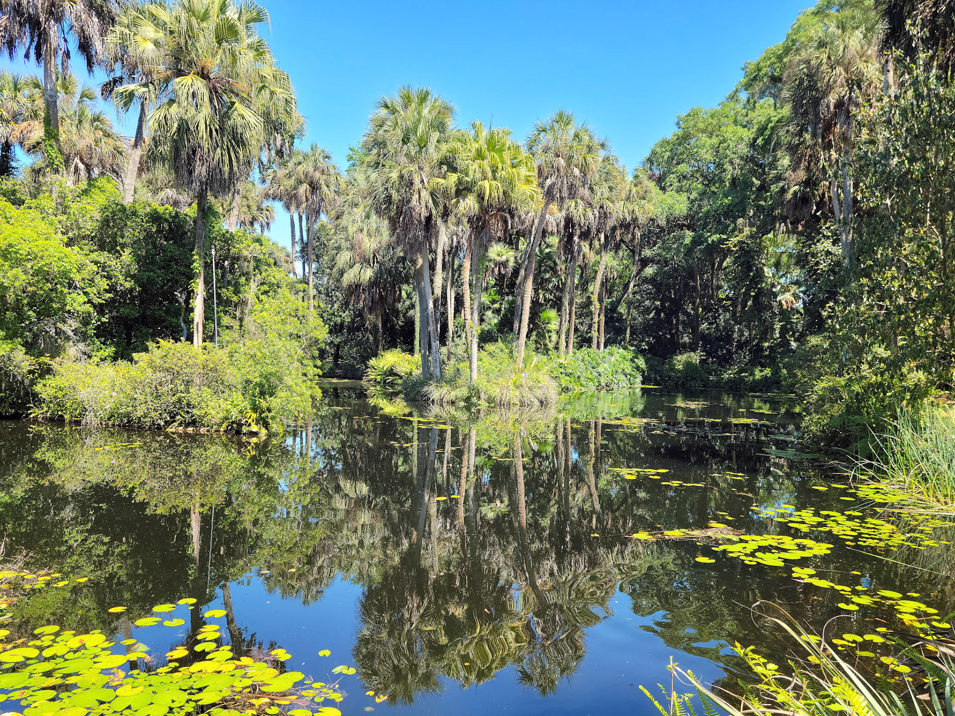 Bok Tower Gardens (Lake Wales, FL)