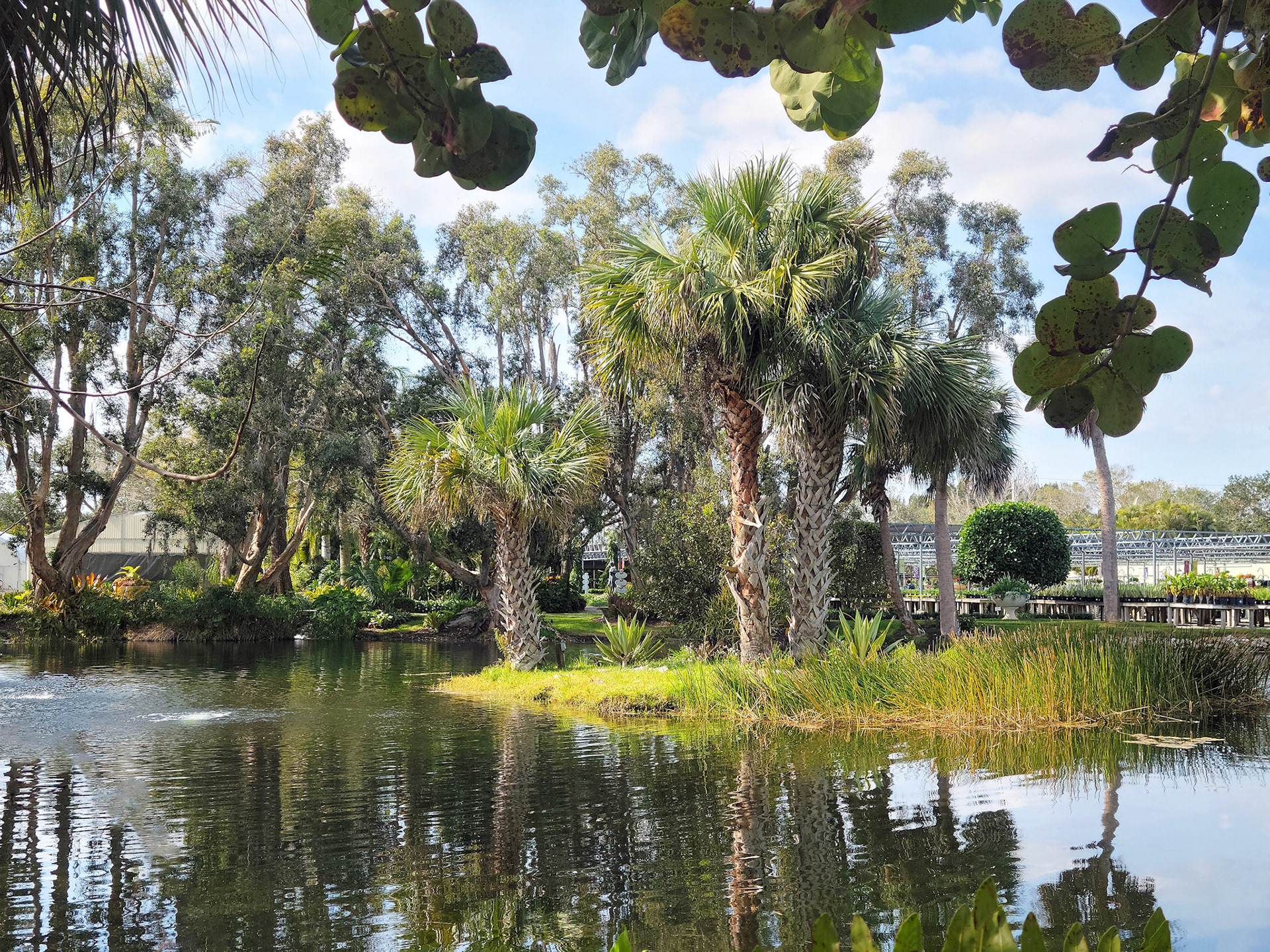 Rock City Gardens (Sebastian, FL)