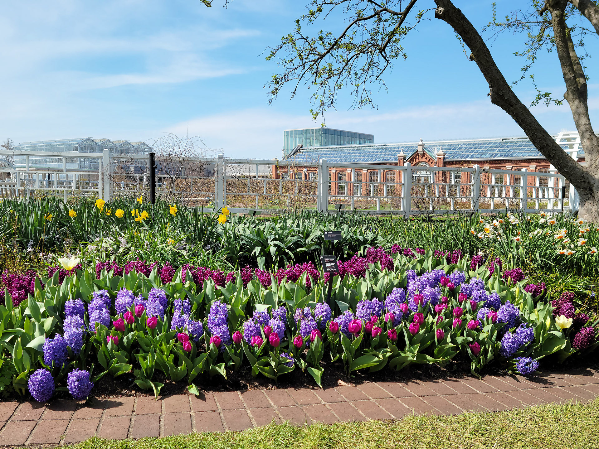 Missouri Botanical Garden (St. Louis, MO)