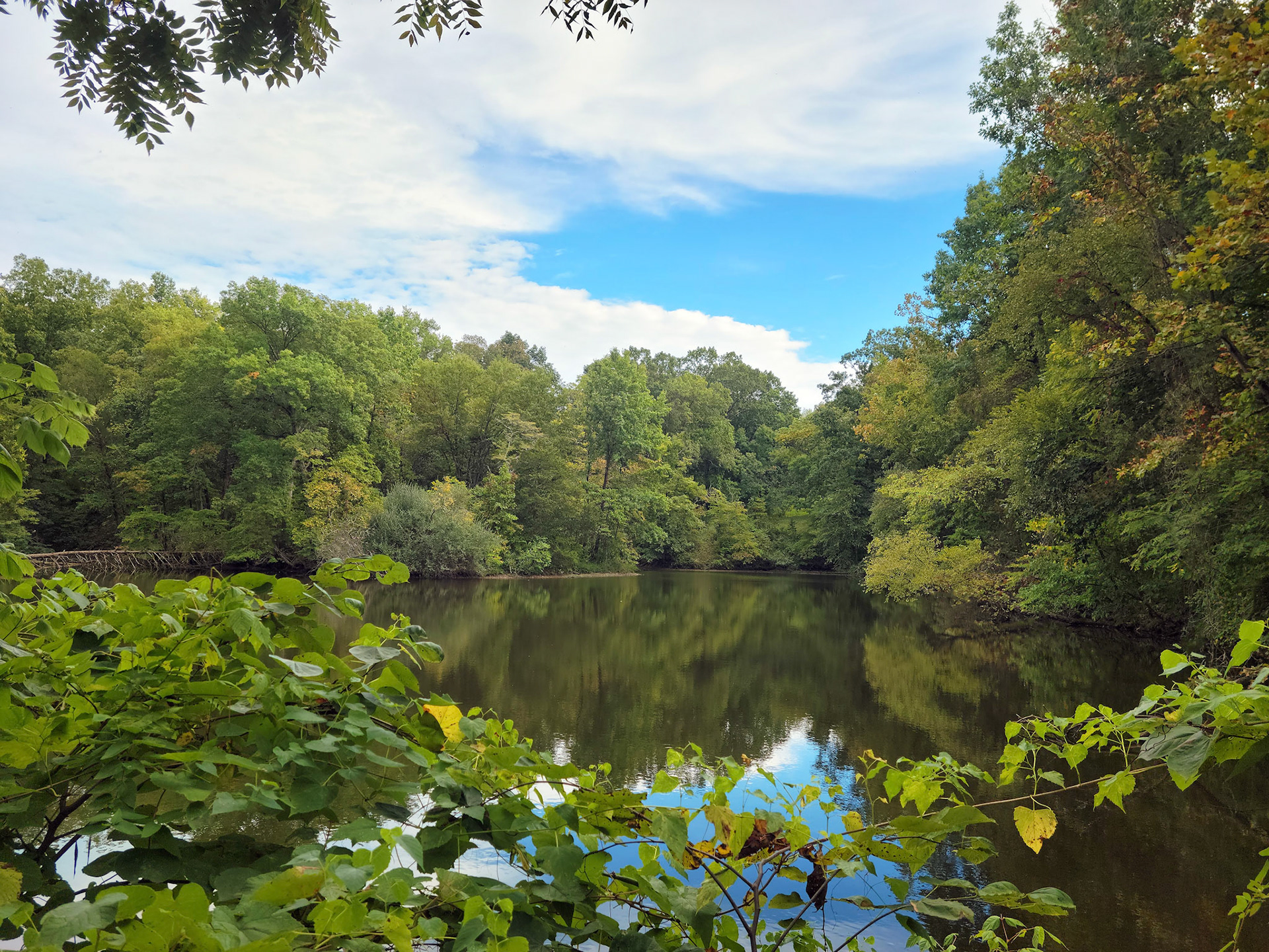 Miller-Post Nature Reserve (Washington, MO)