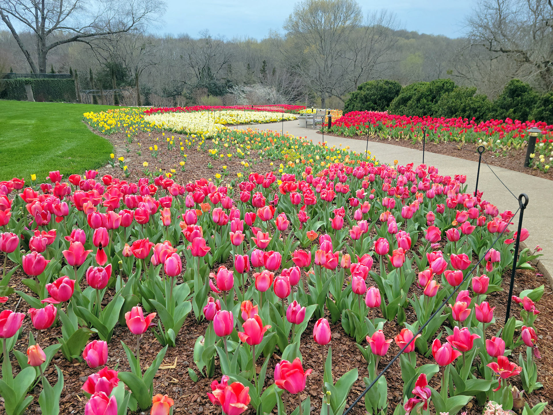 Cheekwood Gardens (Nashville, TN)