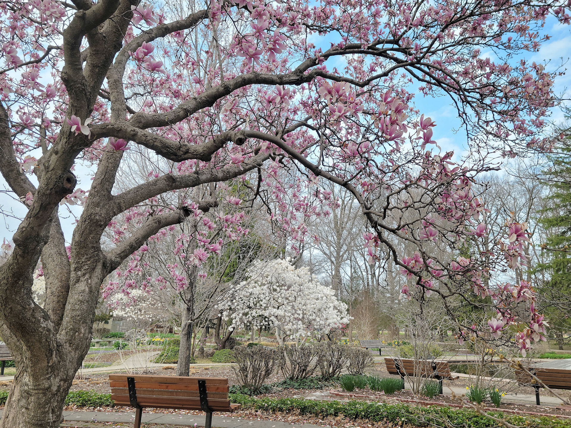 Wilson Park (Granite City, IL)