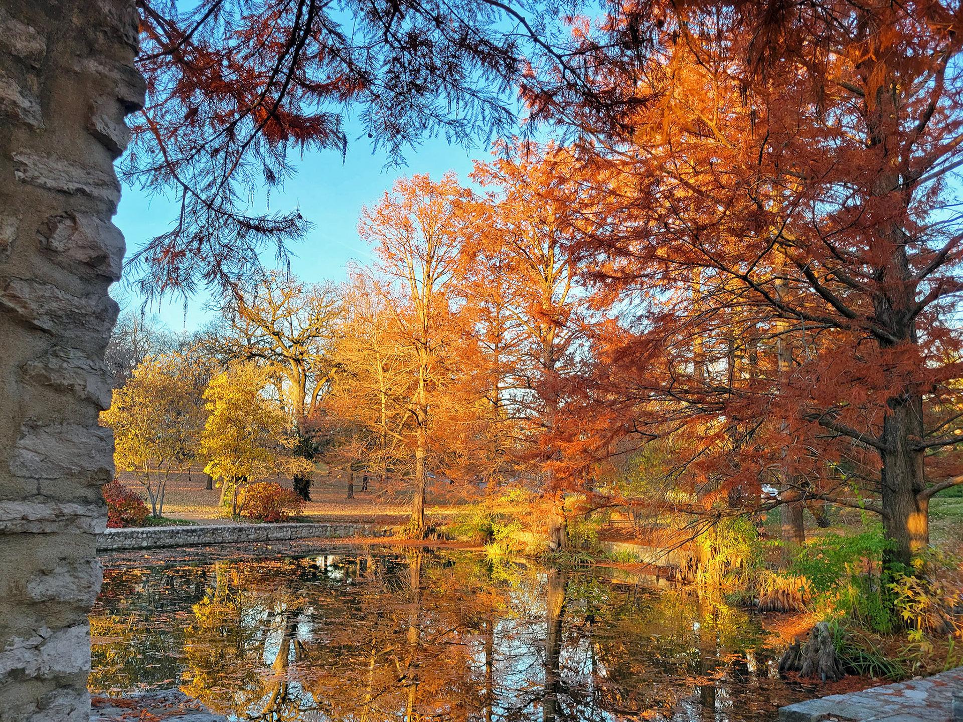 Oak Knoll Park (Clayton, MO)