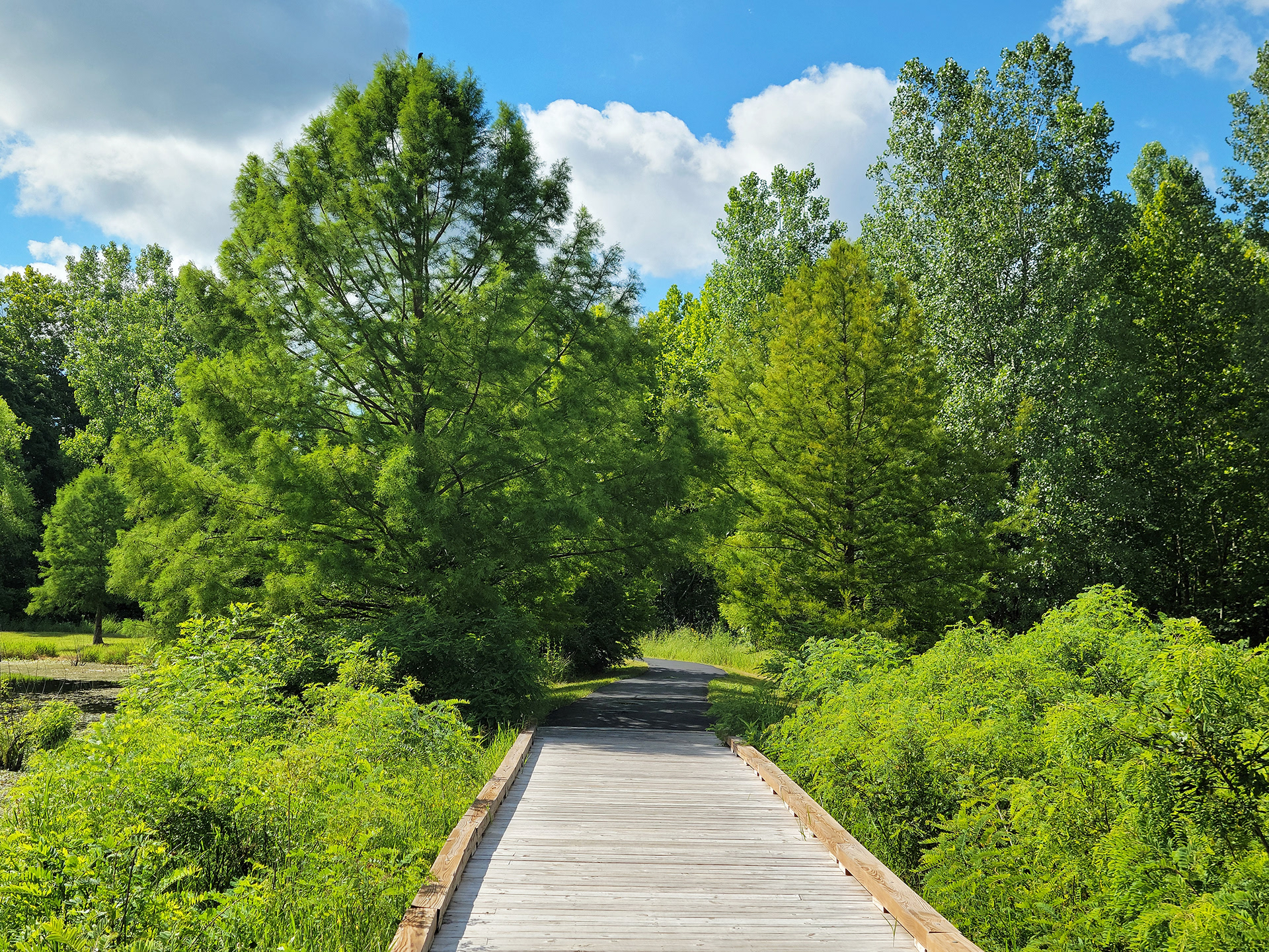 Indian Camp Creek Park (Foristell, MO)