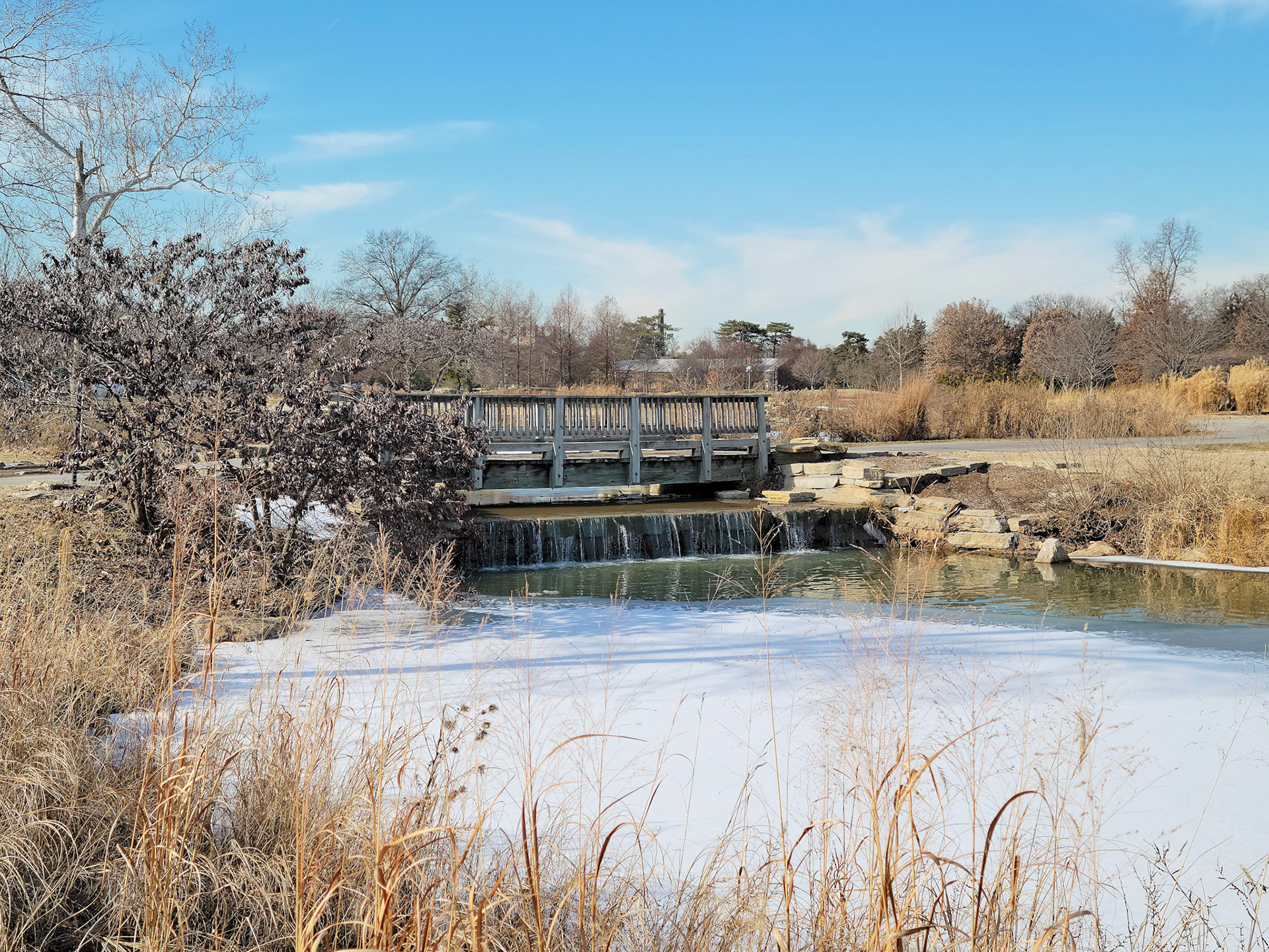 Forest Park (St. Louis, MO)