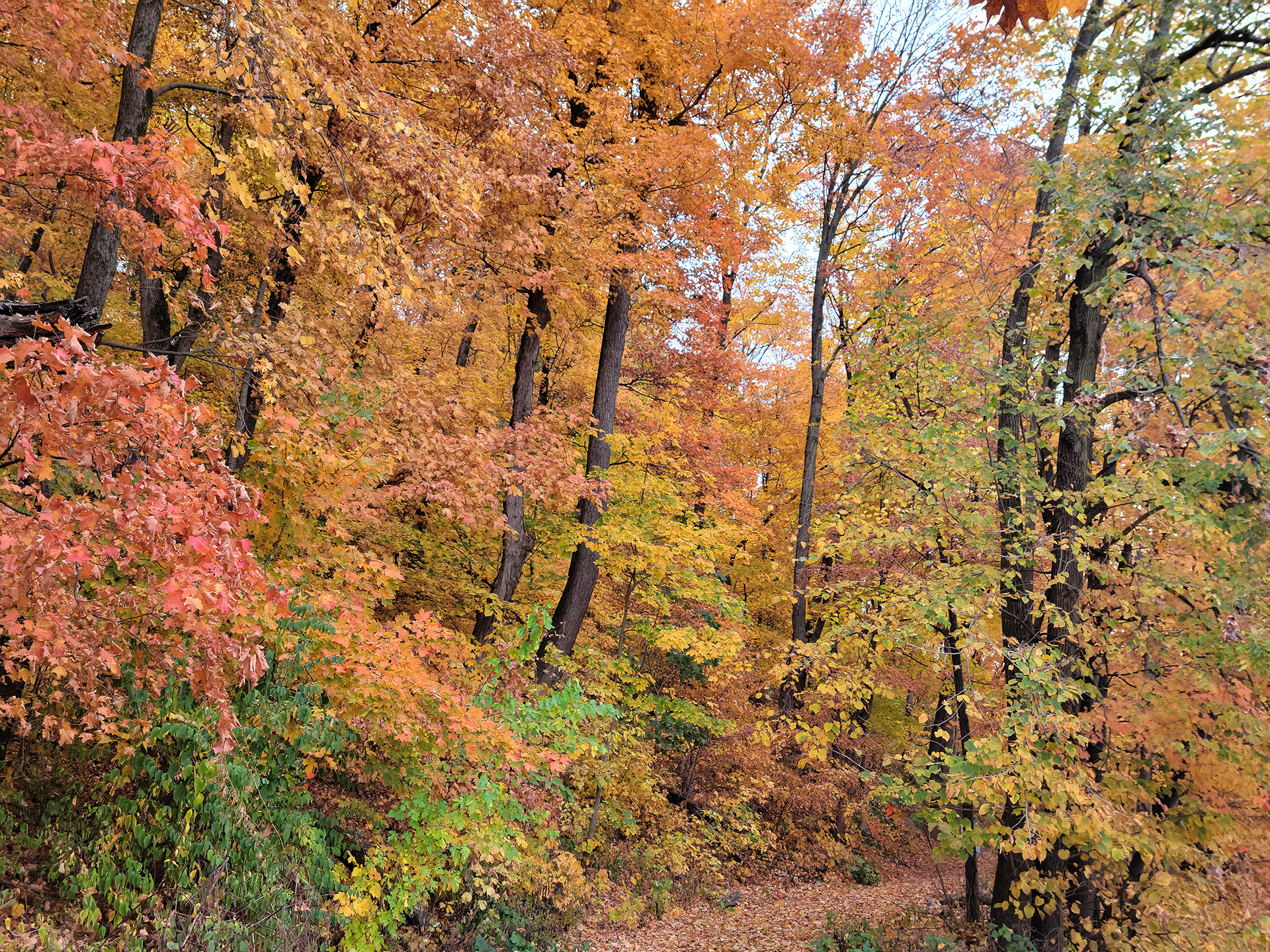 Riverview Park (Hannibal, MO)