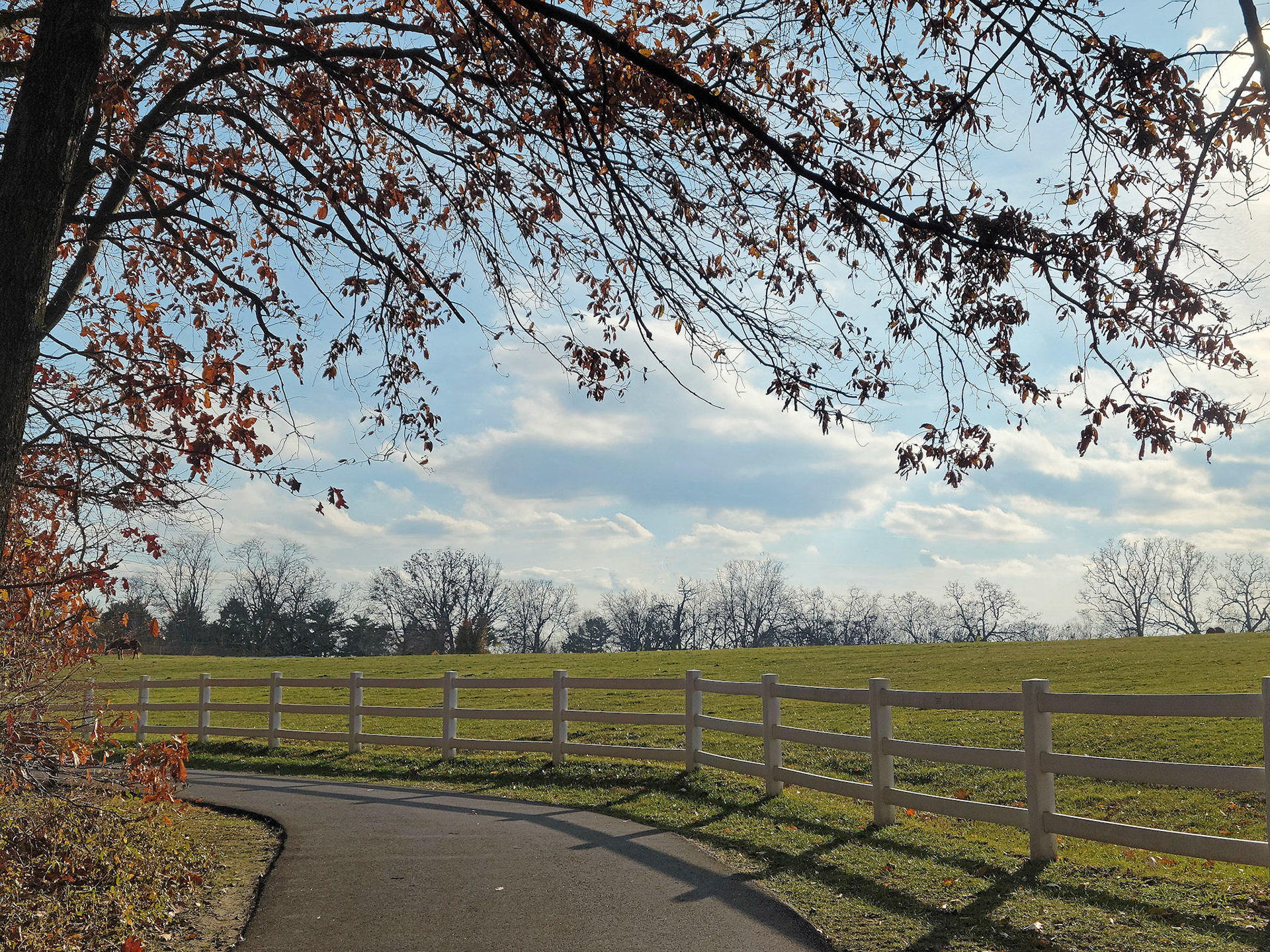 Longview Farm Park (Town &amp; Country, MO)