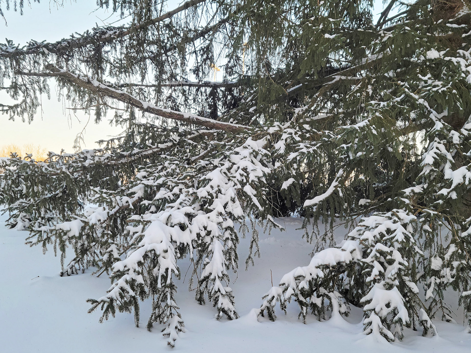 Blanchette Park (St. Charles, MO)