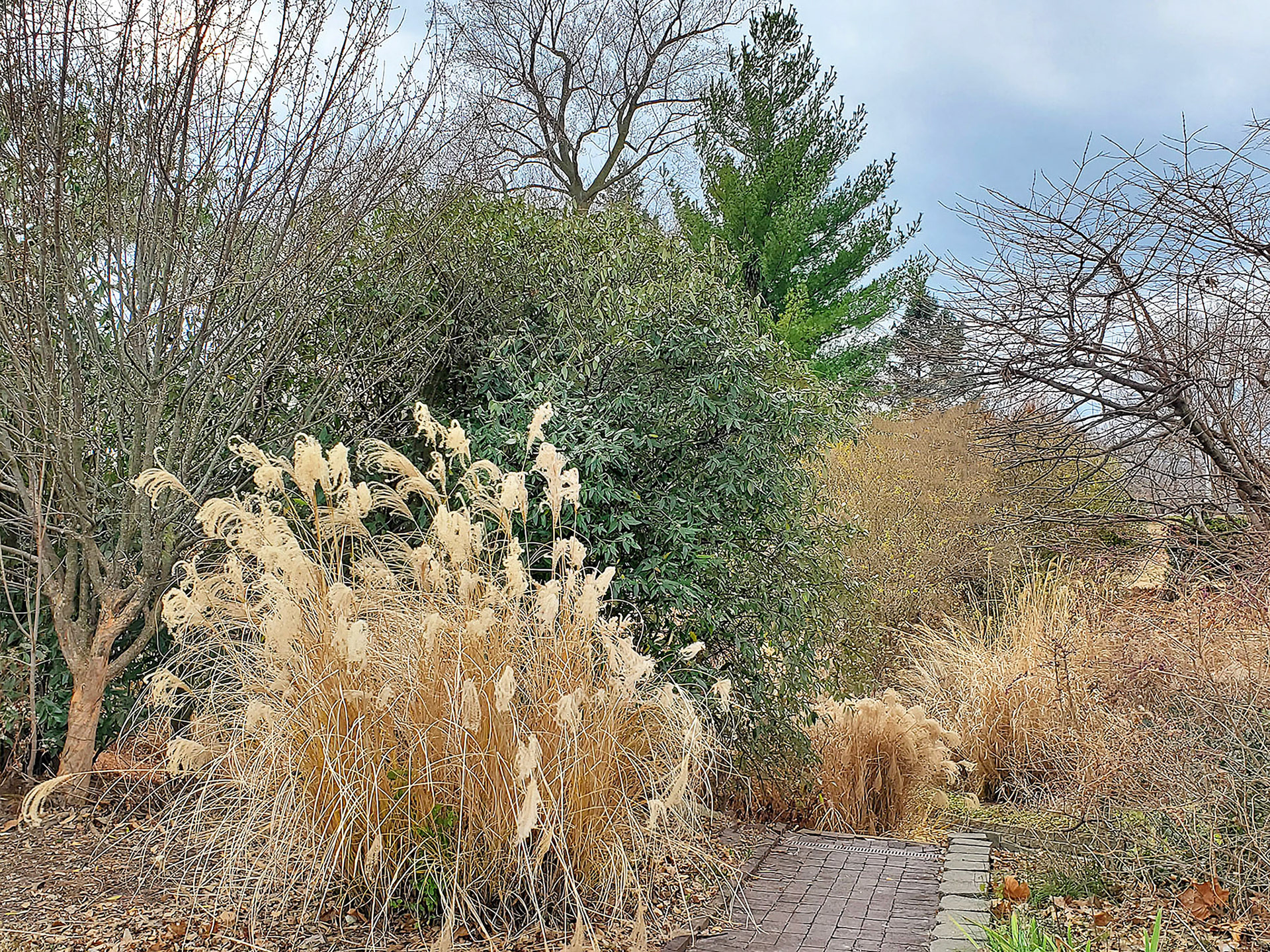 Blanchette Park (St. Charles, MO)