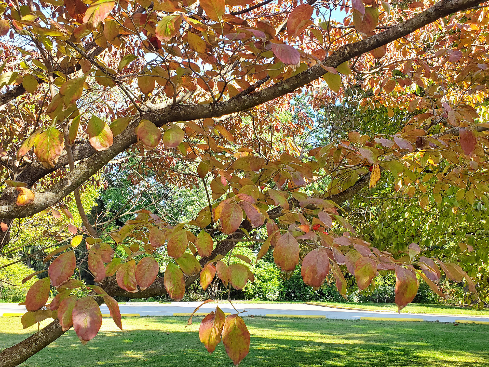 Blanchette Park (St. Charles, MO)