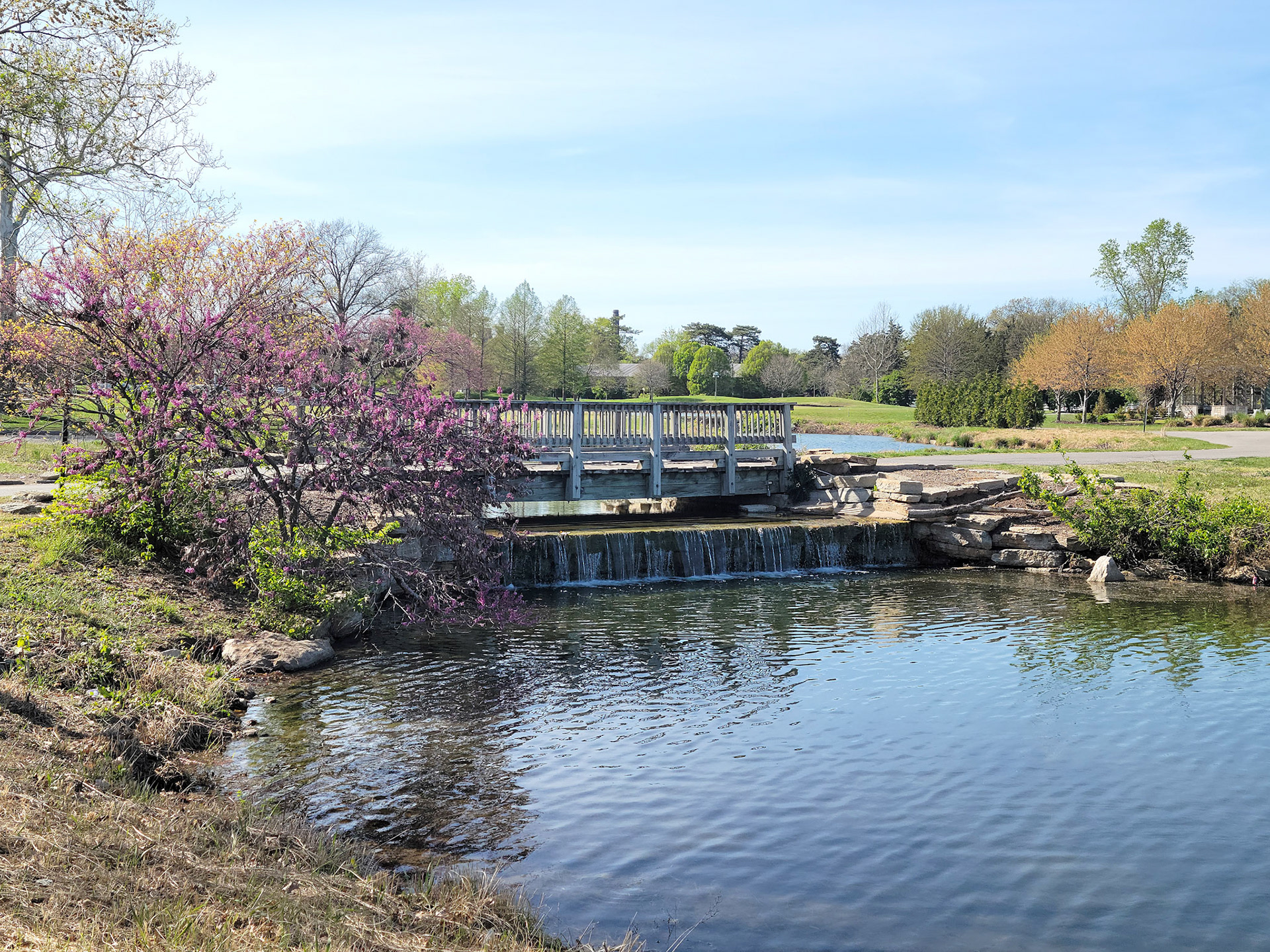 Forest Park (St. Louis, MO)