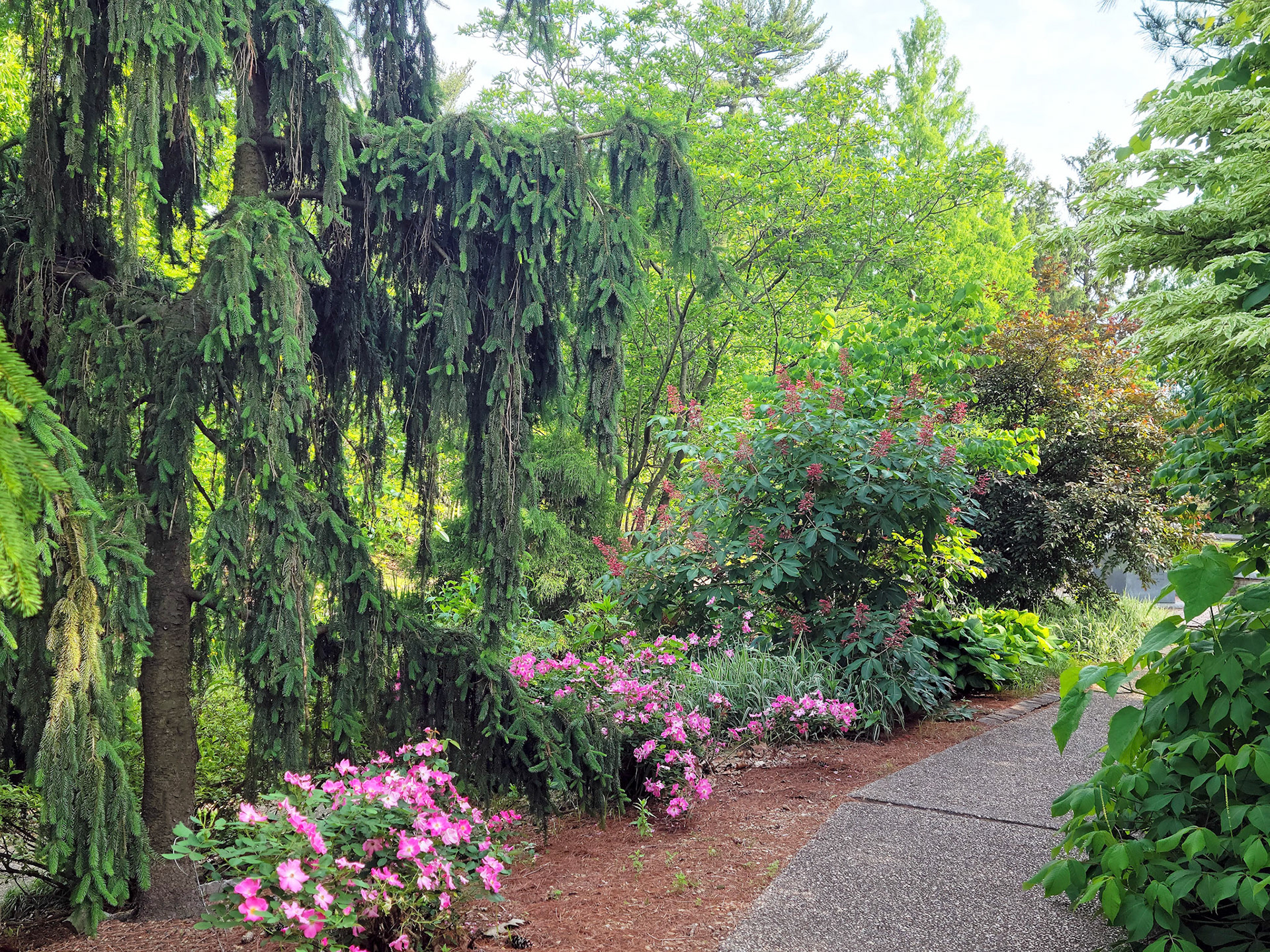 Rau Garden (St. Charles, MO)