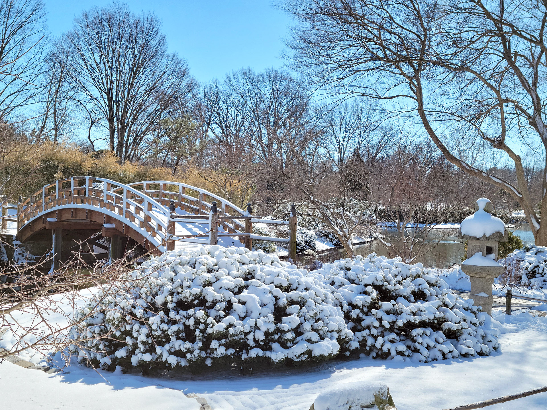 Missouri Botanical Garden (St. Louis, MO)