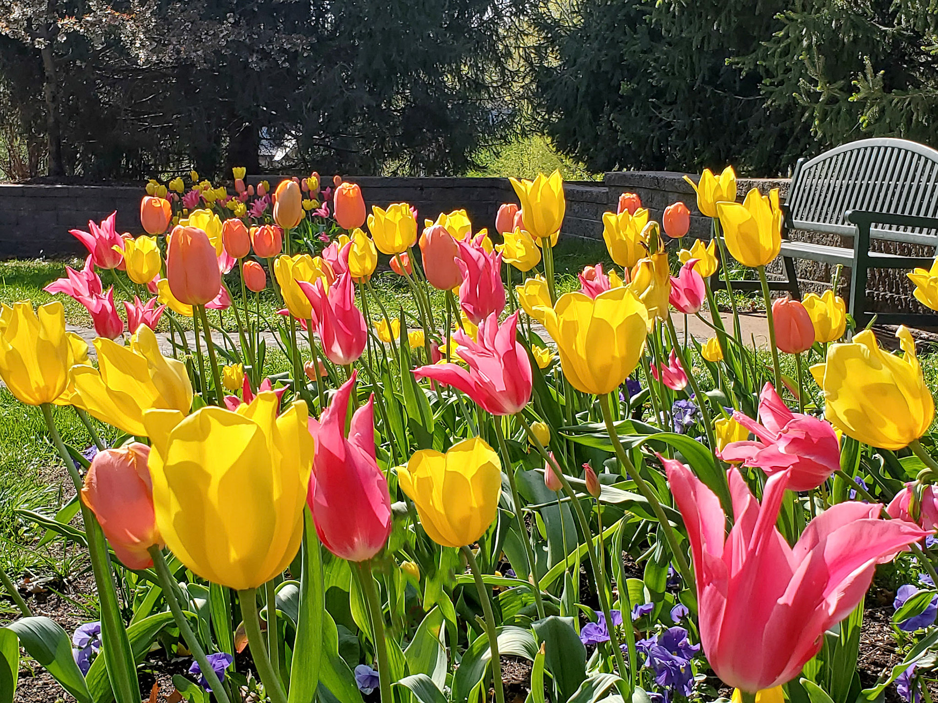 Oak Knoll Park (Clayton, MO)