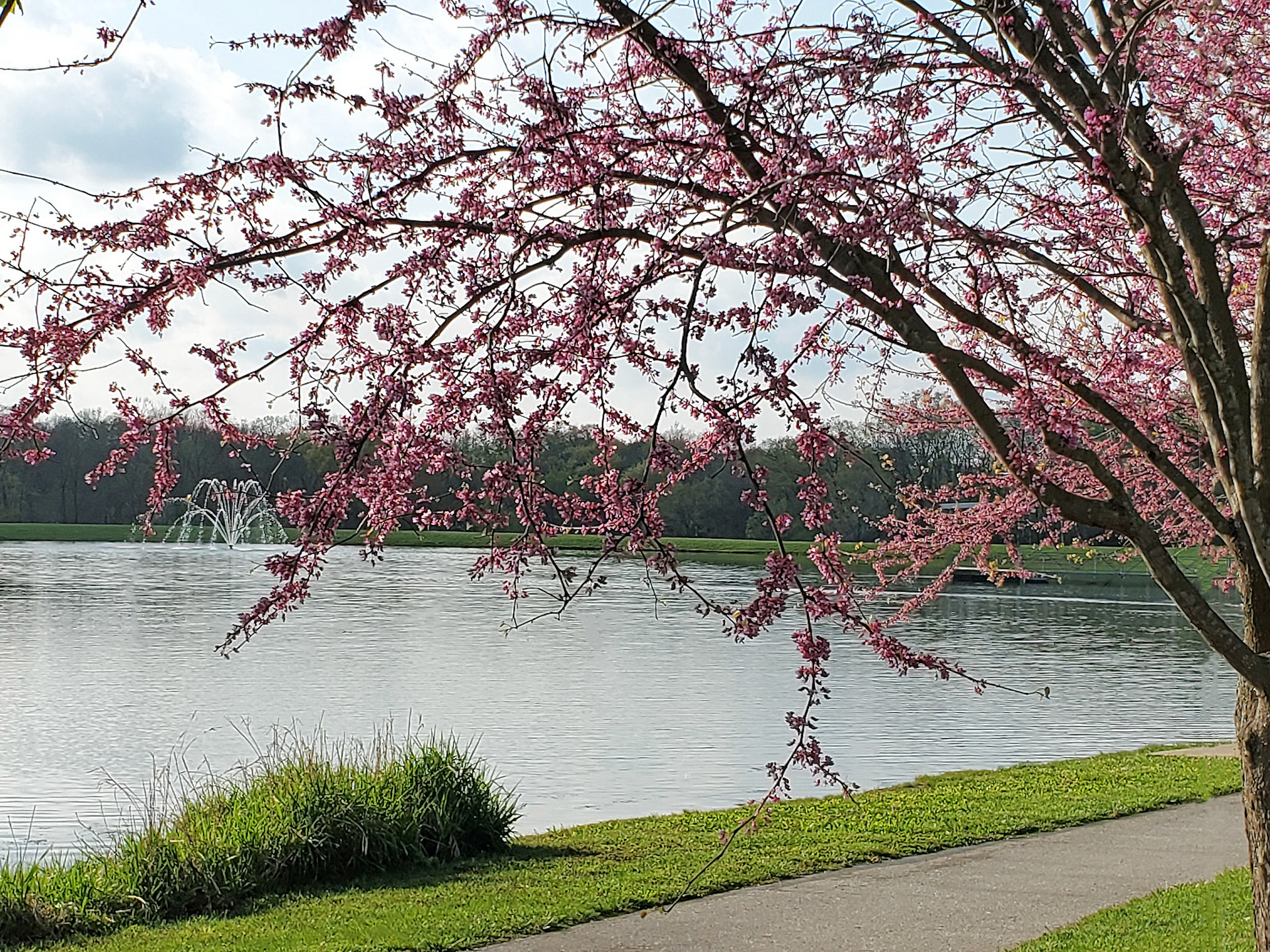 Rotary Park (Wentzville, MO)