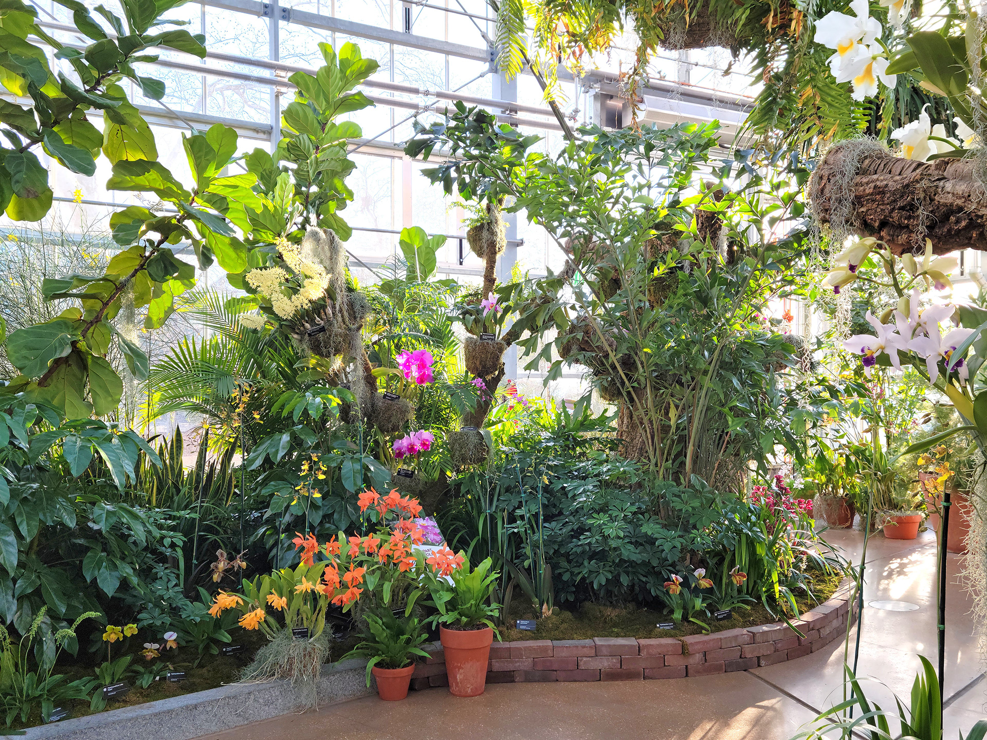 Emerson Conservatory (St. Louis, MO)