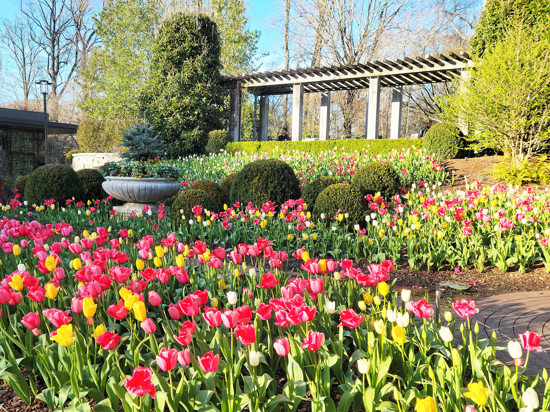 Atlanta Botanical Garden (Atlanta, GA)