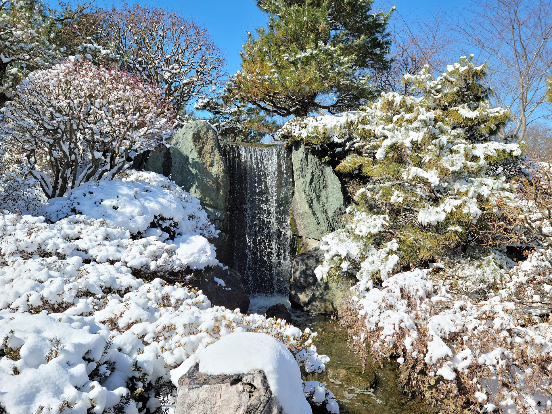 Missouri Botanical Garden (St. Louis, MO)