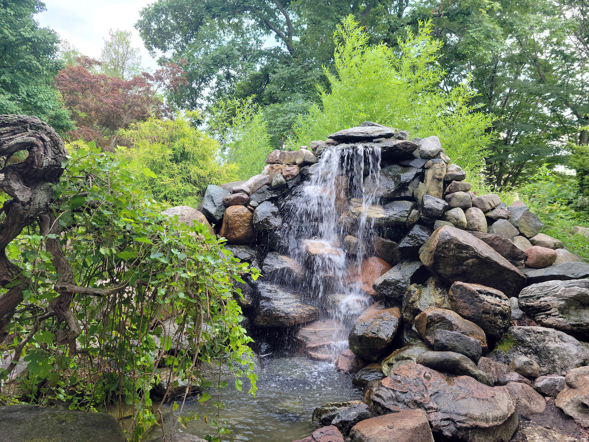 Scoville Park Oriental Garden (Decatur, IL)