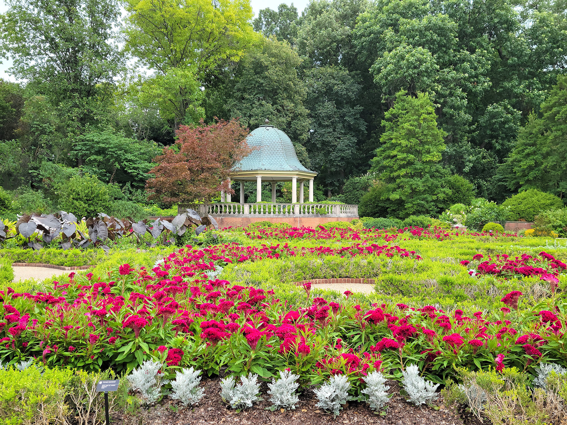 Missouri Botanical Garden (St. Louis, MO)