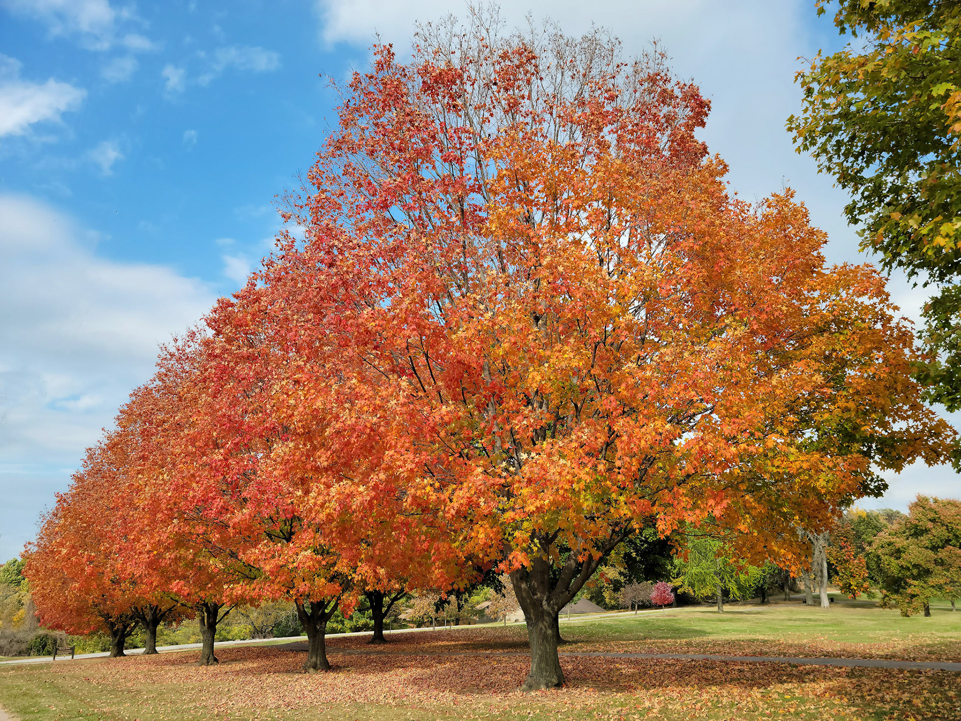 McNair Park (St. Charles, MO)