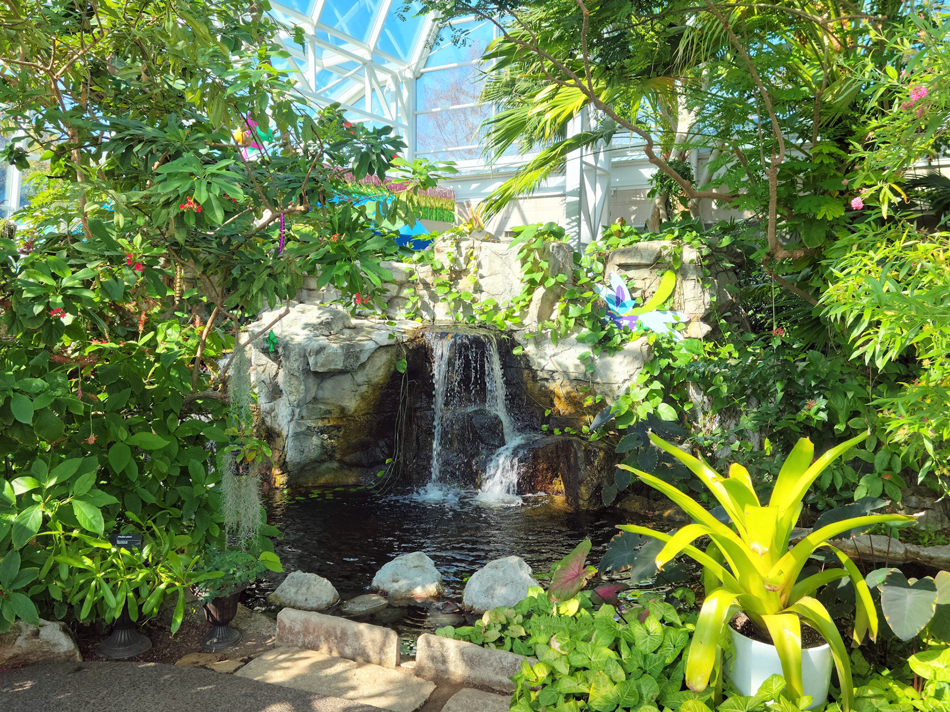 Sophia M Sachs Butterfly House (Chesterfield, MO)