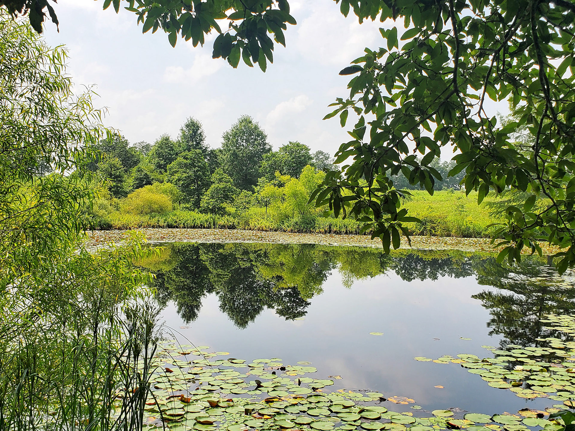 Prairie Garden Trust (New Bloomfield, MO)