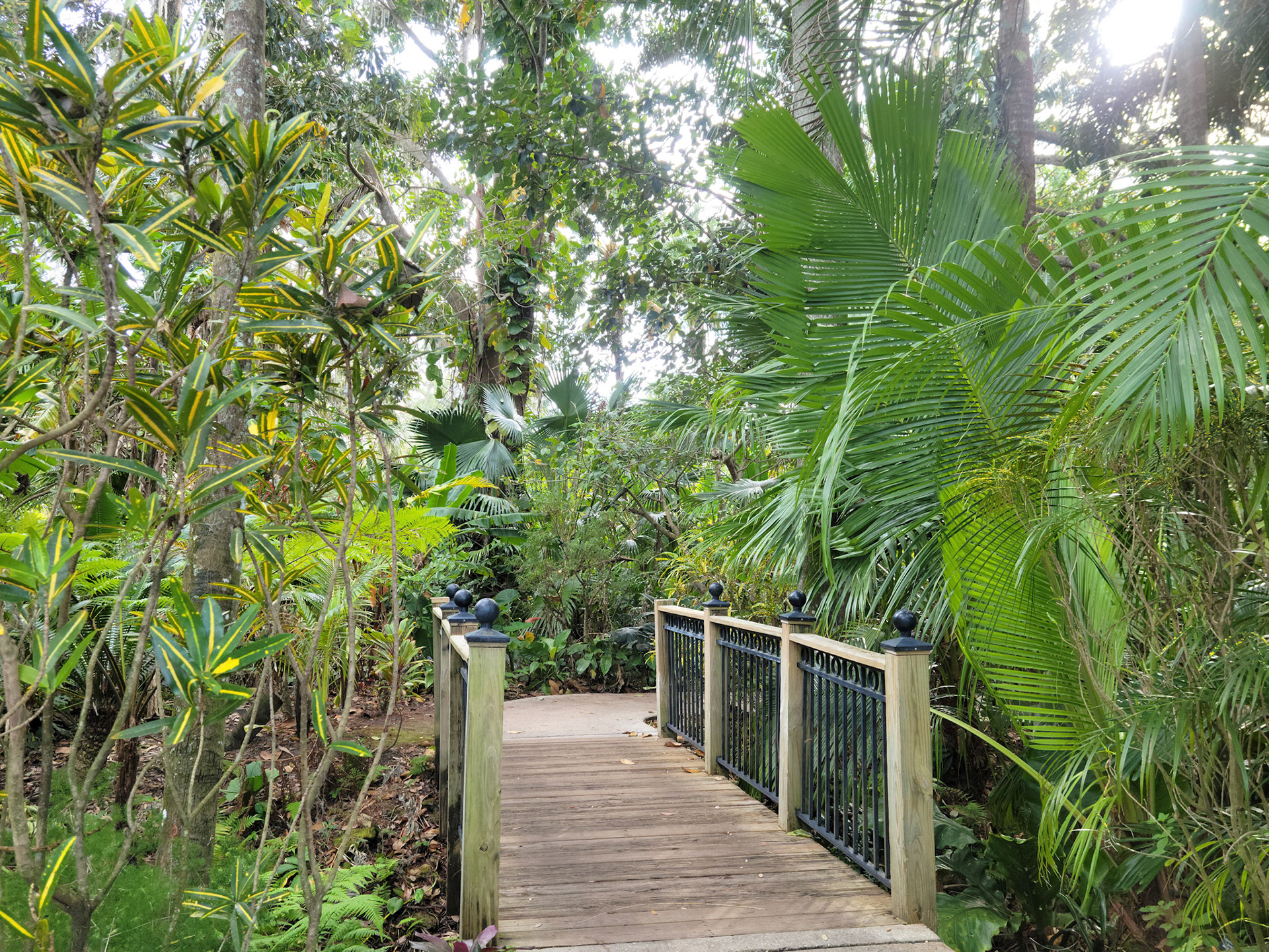 Harry P. Leu Gardens (Orlando, FL)