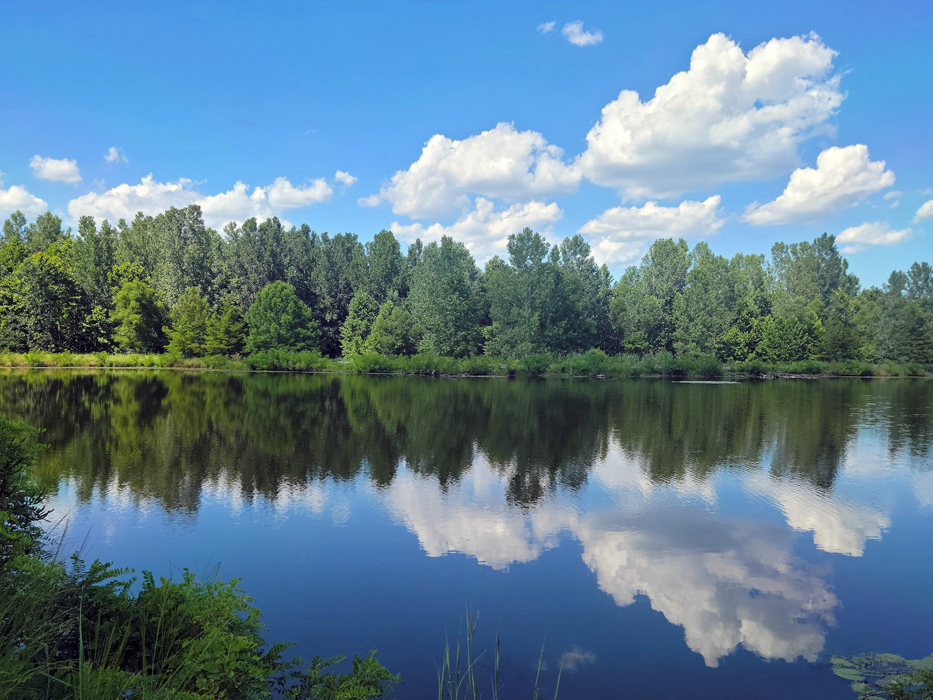 Indian Camp Creek Park (Foristell, MO)