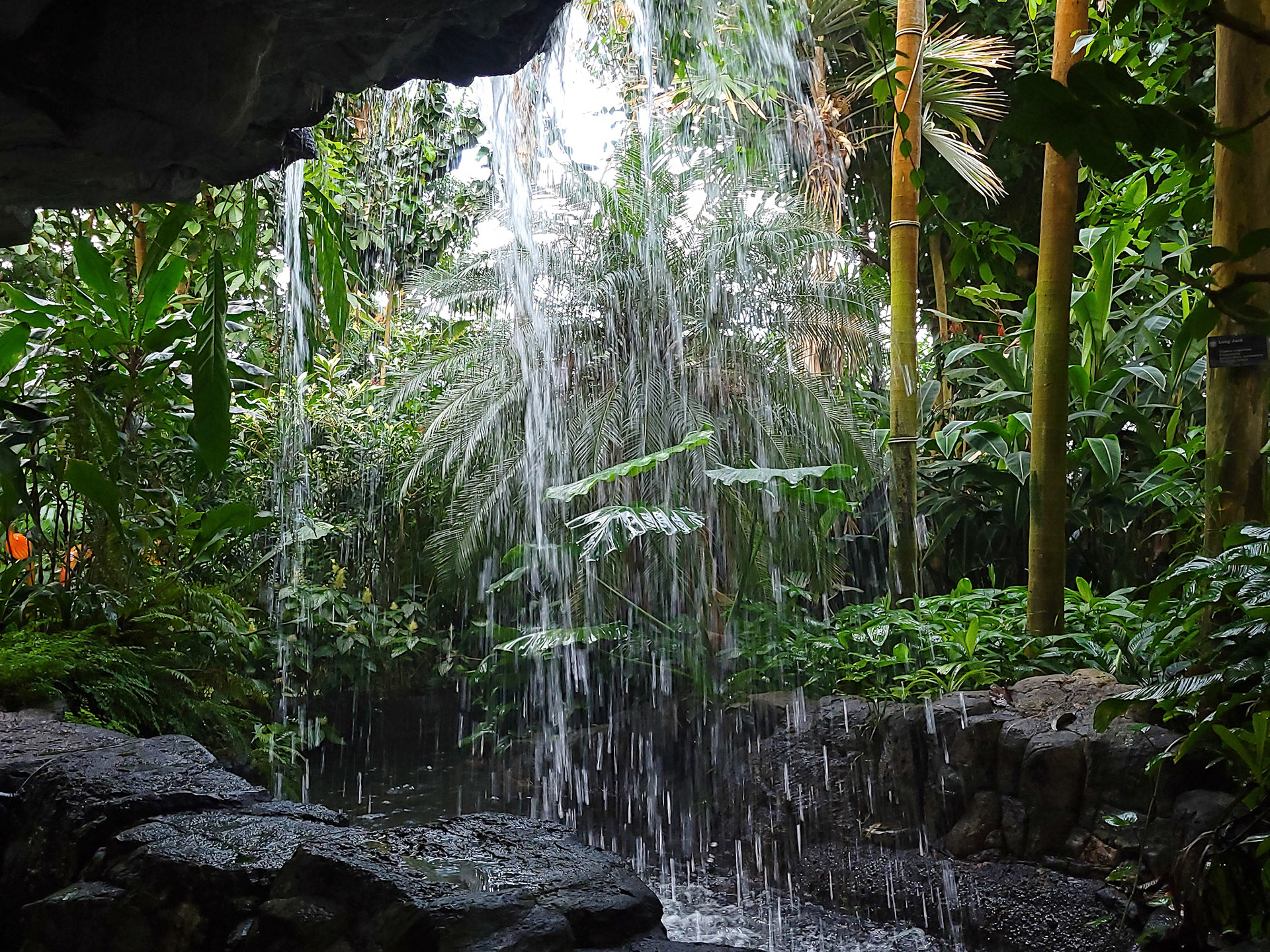 Climatron (St. Louis, MO)