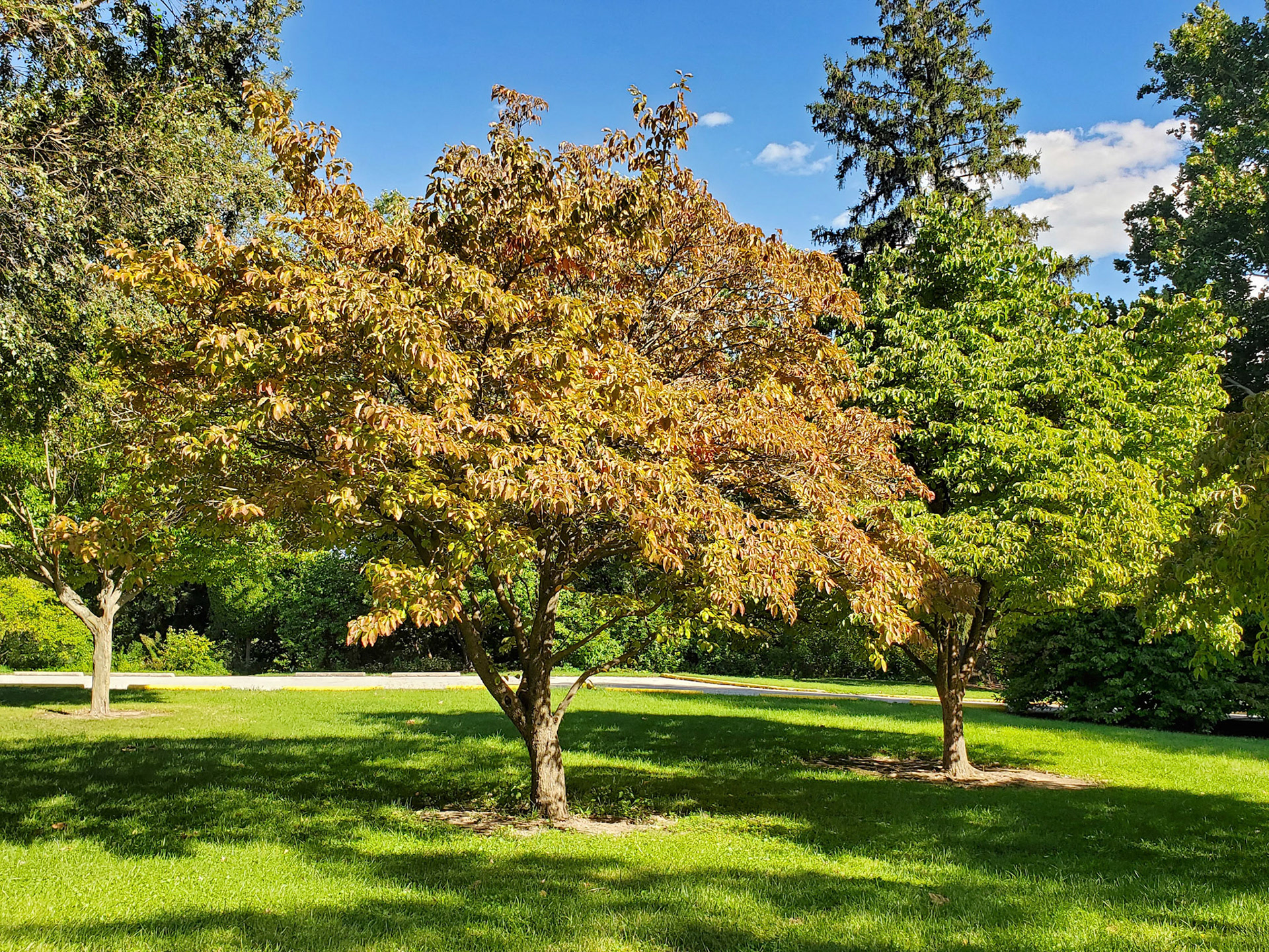  Blanchette Park (St. Charles, MO)