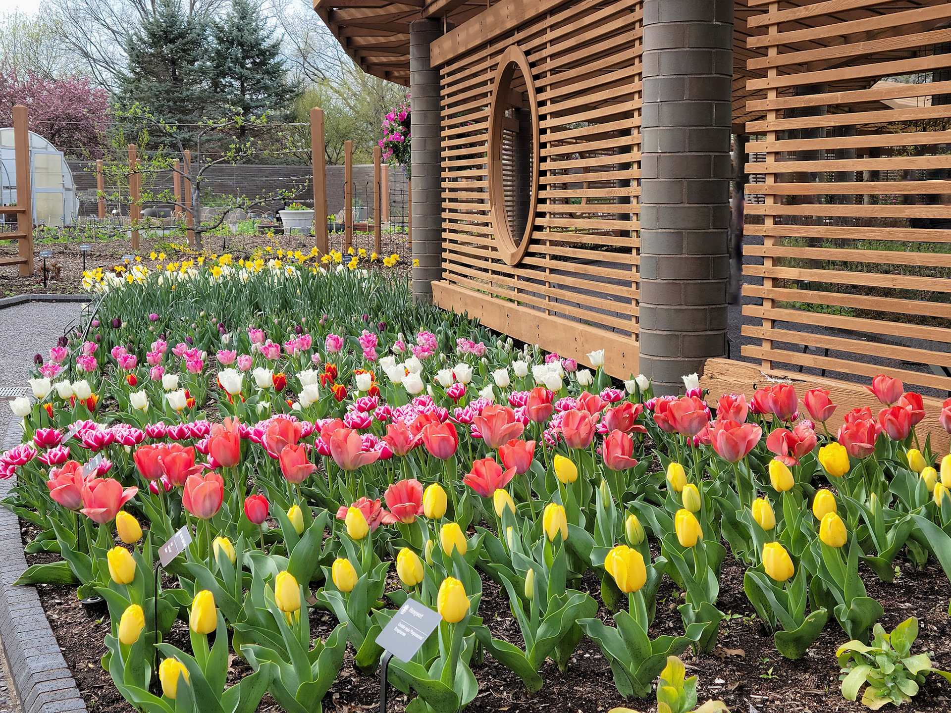 Missouri Botanical Garden (St. Louis, MO)