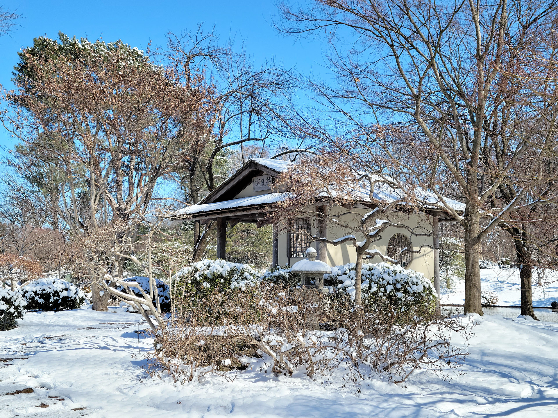 Missouri Botanical Garden (St. Louis, MO)