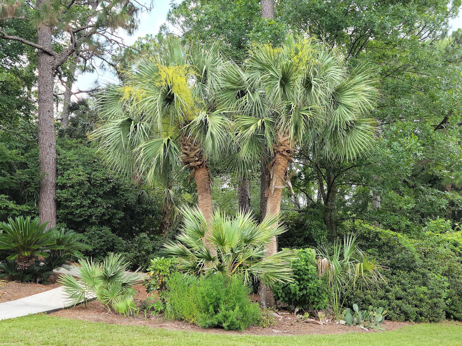 Mobile Botanical Gardens (Mobile, AL)