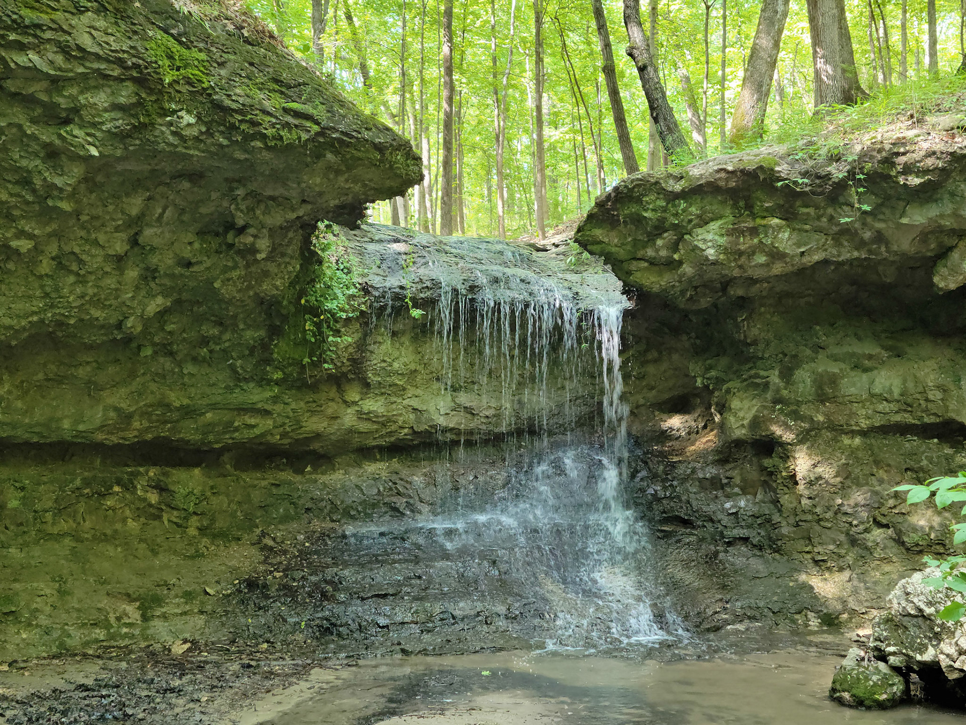 John M Olin Nature Preserve (Godfrey, IL)