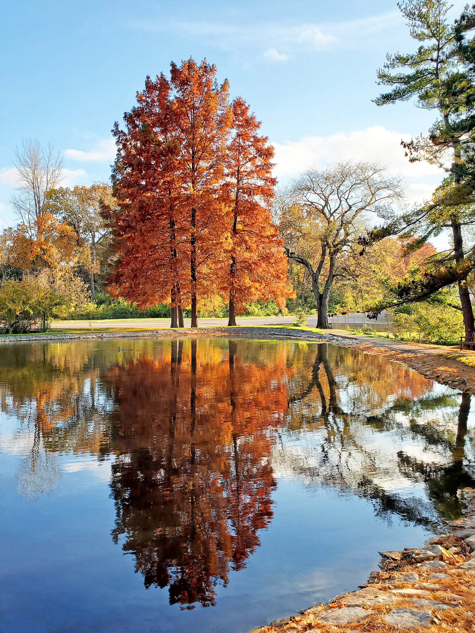 Sappington House (Crestwood, MO)