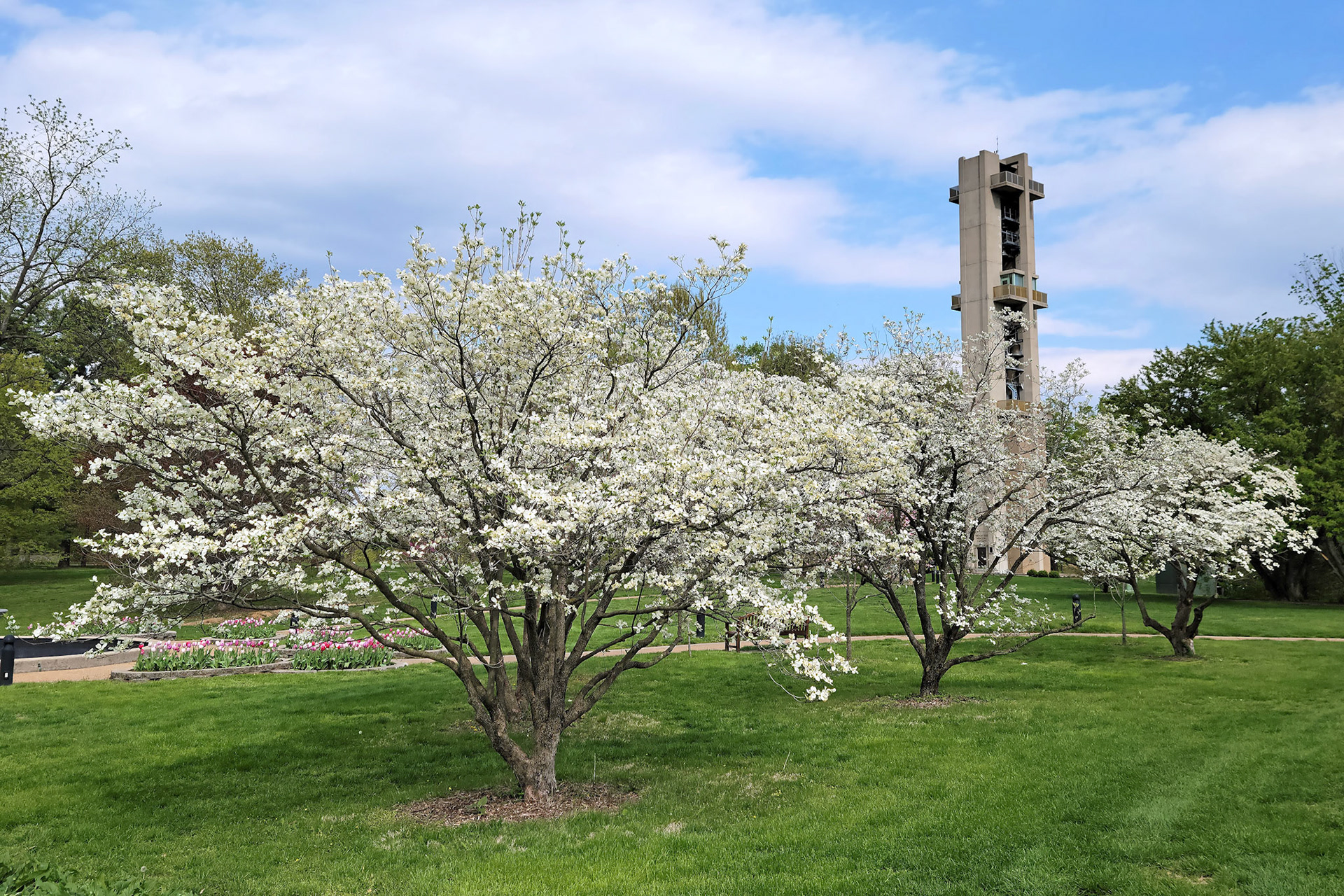 Washington Park (Springfield, IL)