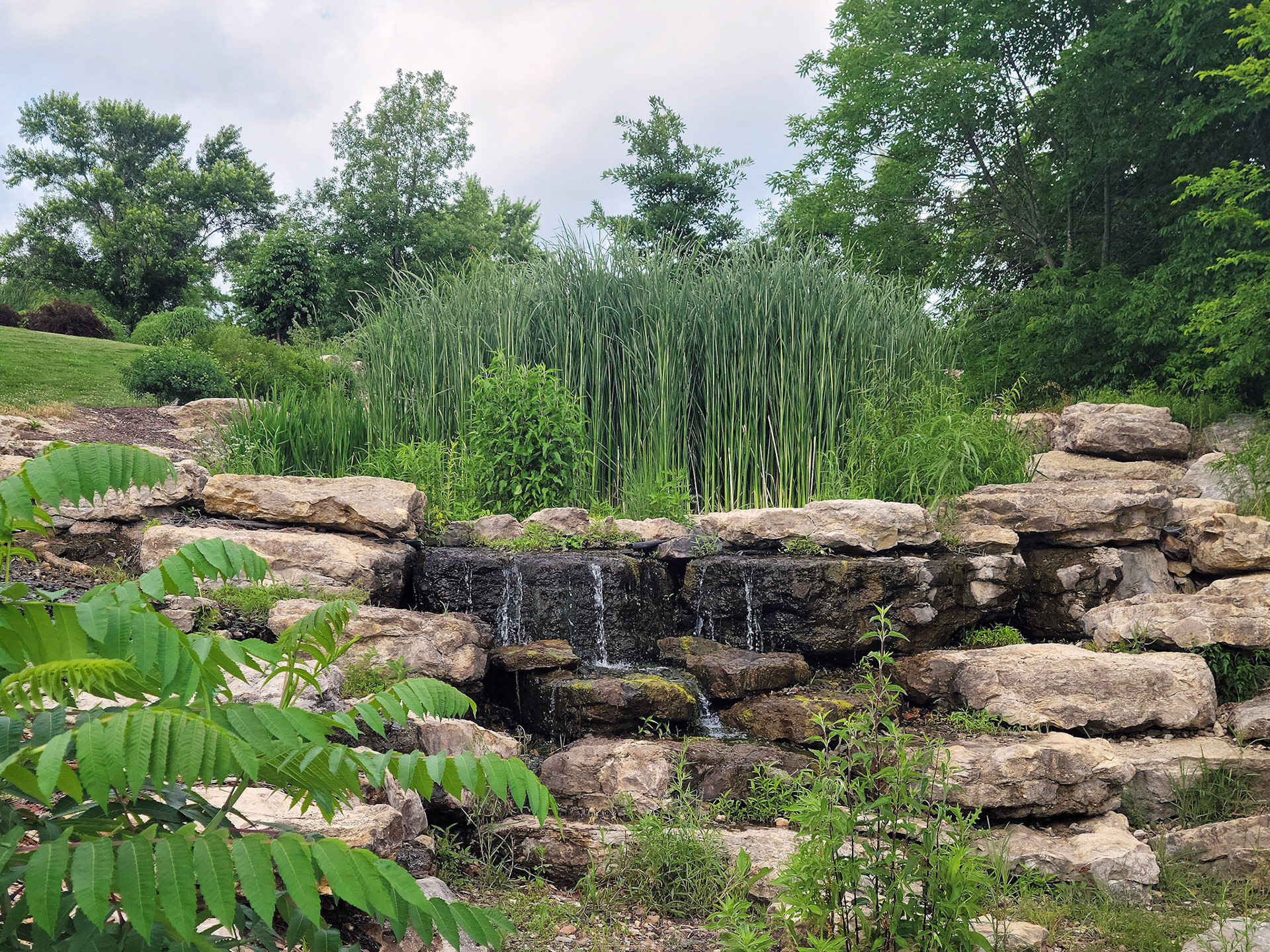 Stephens Lake Park (Columbia, MO)