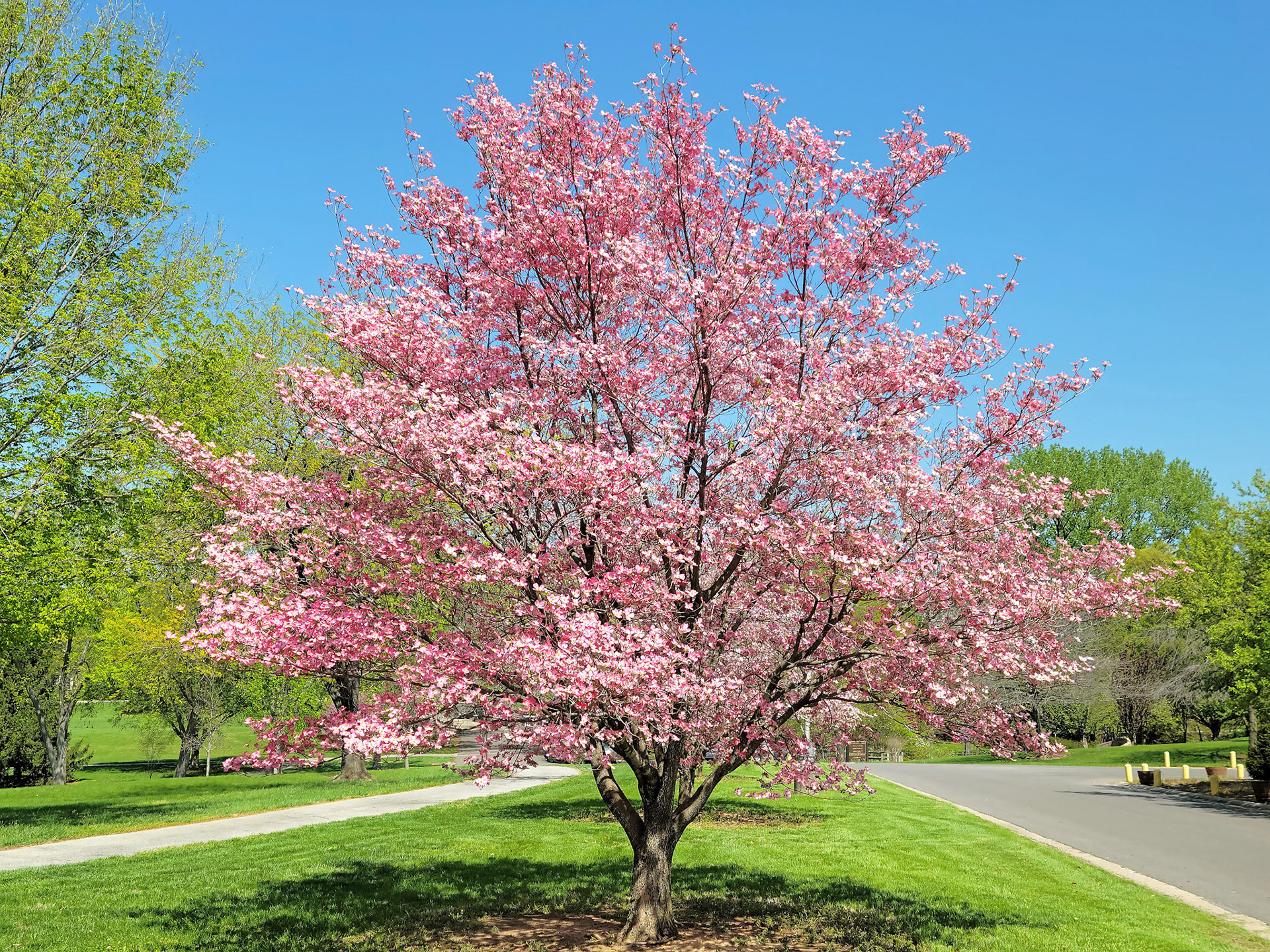 McNair Park (St. Charles, MO)