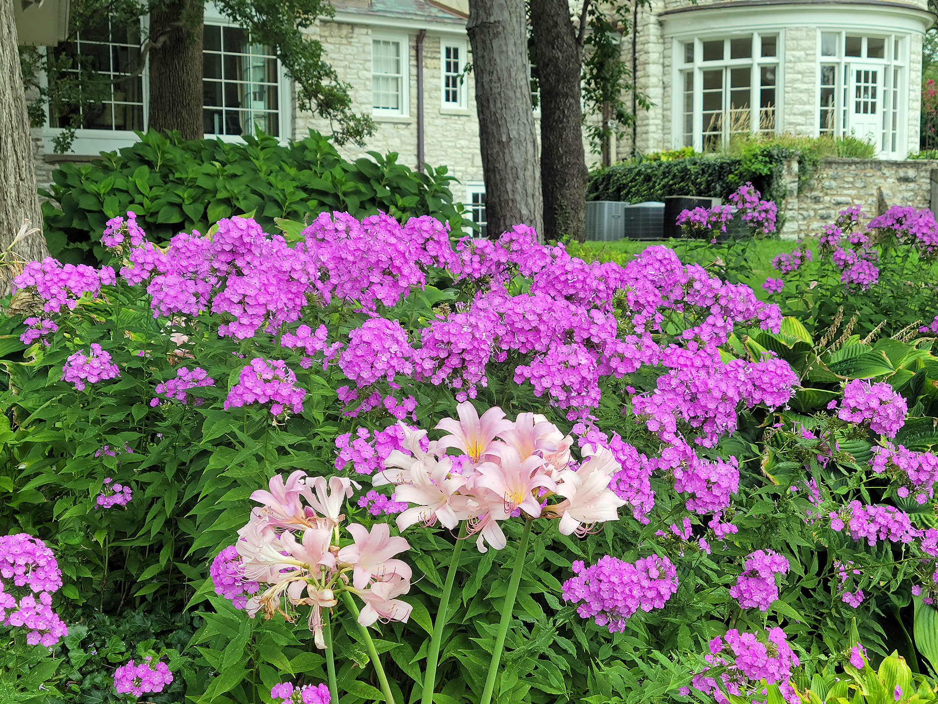 Oak Knoll Park (Clayton, MO)