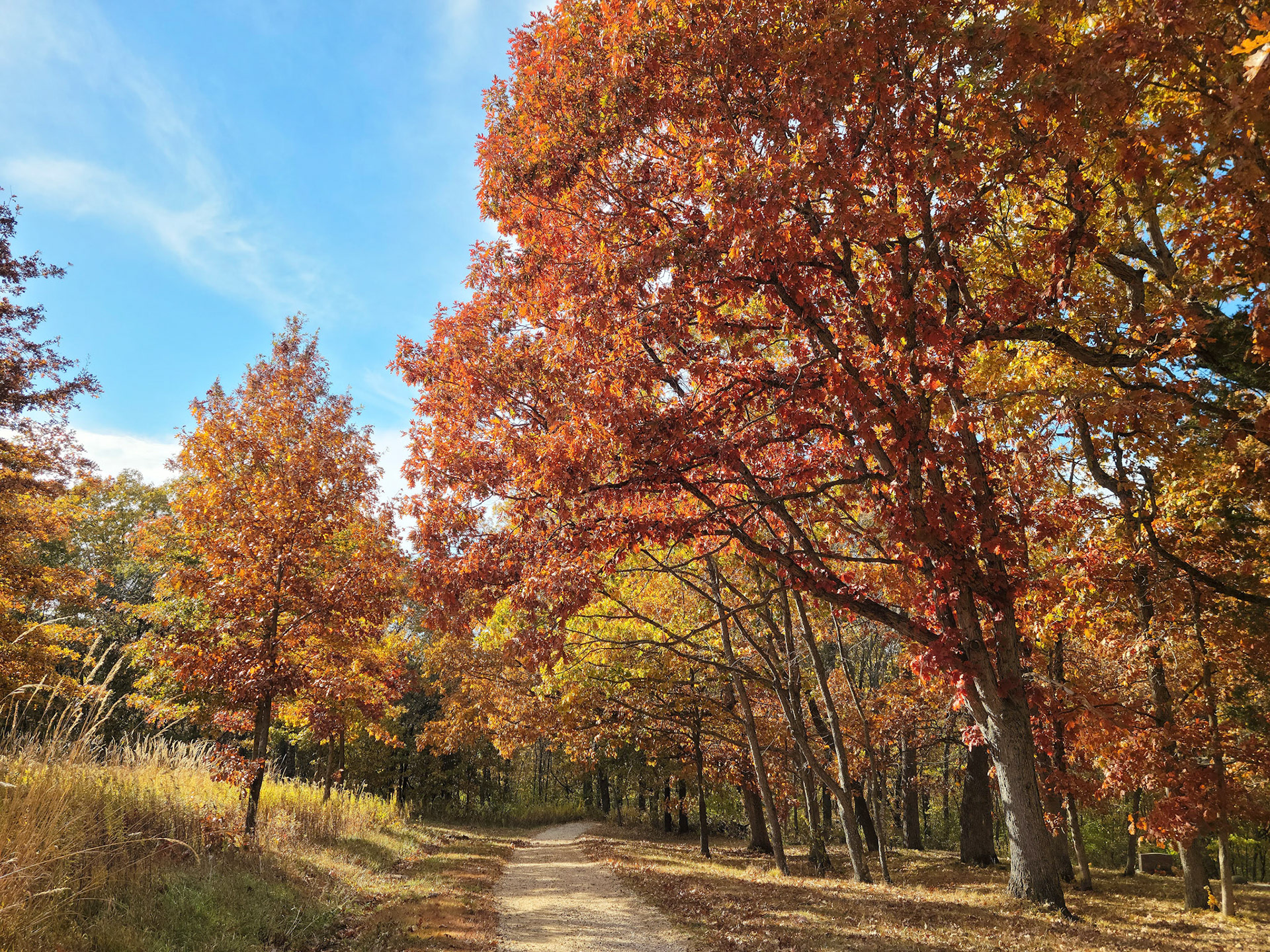 Henry Lay Sculpture Park (Louisiana, MO)