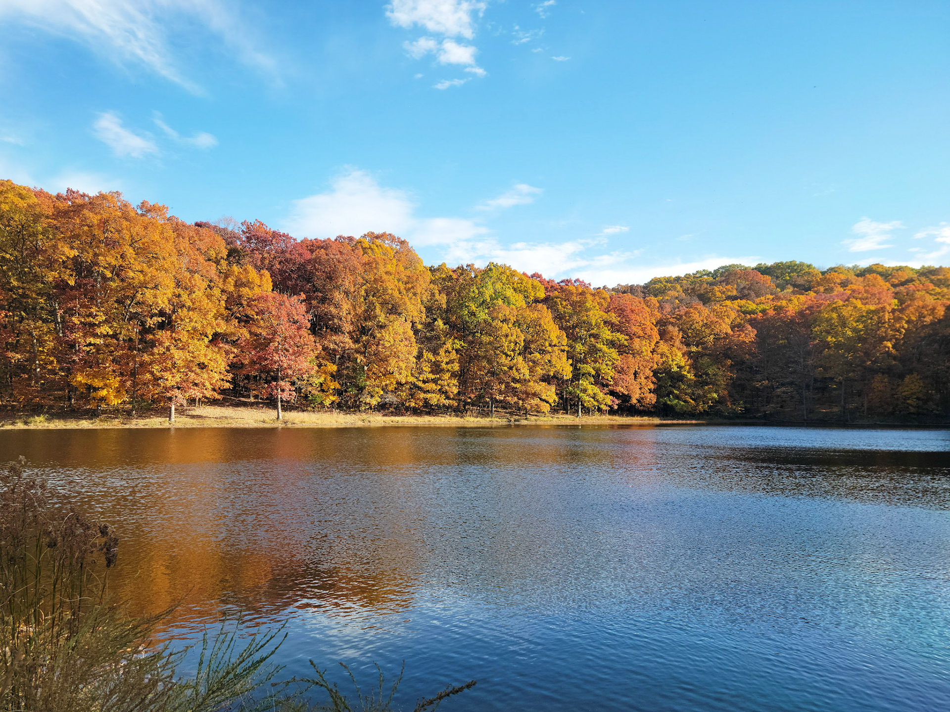 Henry Lay Sculpture Park (Louisiana, MO)