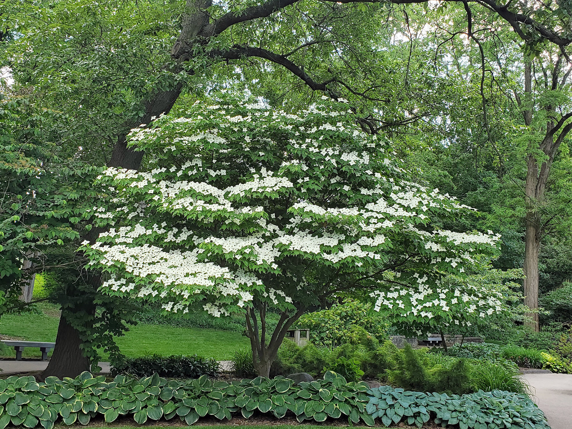 McNair Park (St. Charles, MO)